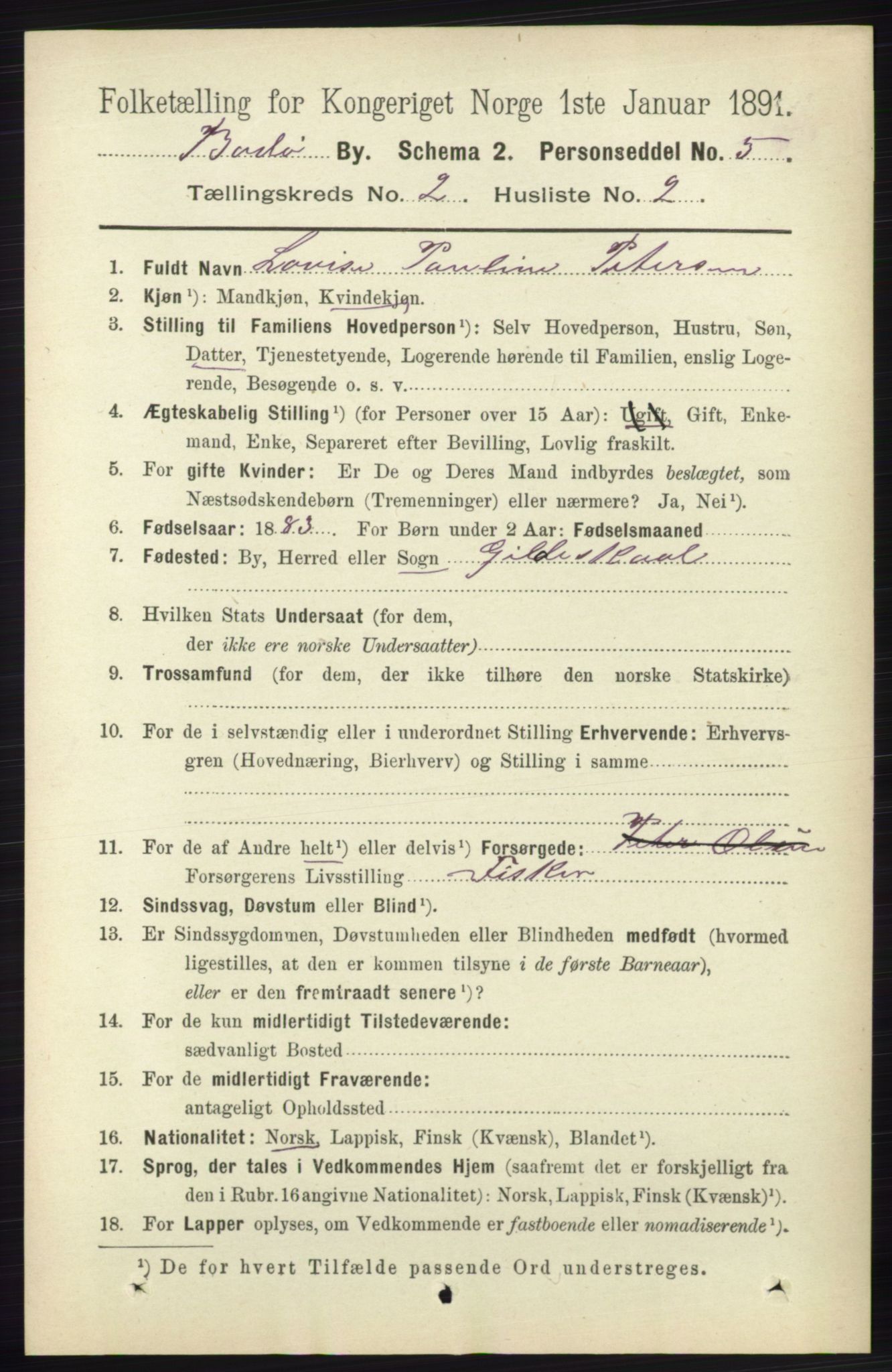 RA, 1891 census for 1804 Bodø, 1891, p. 999