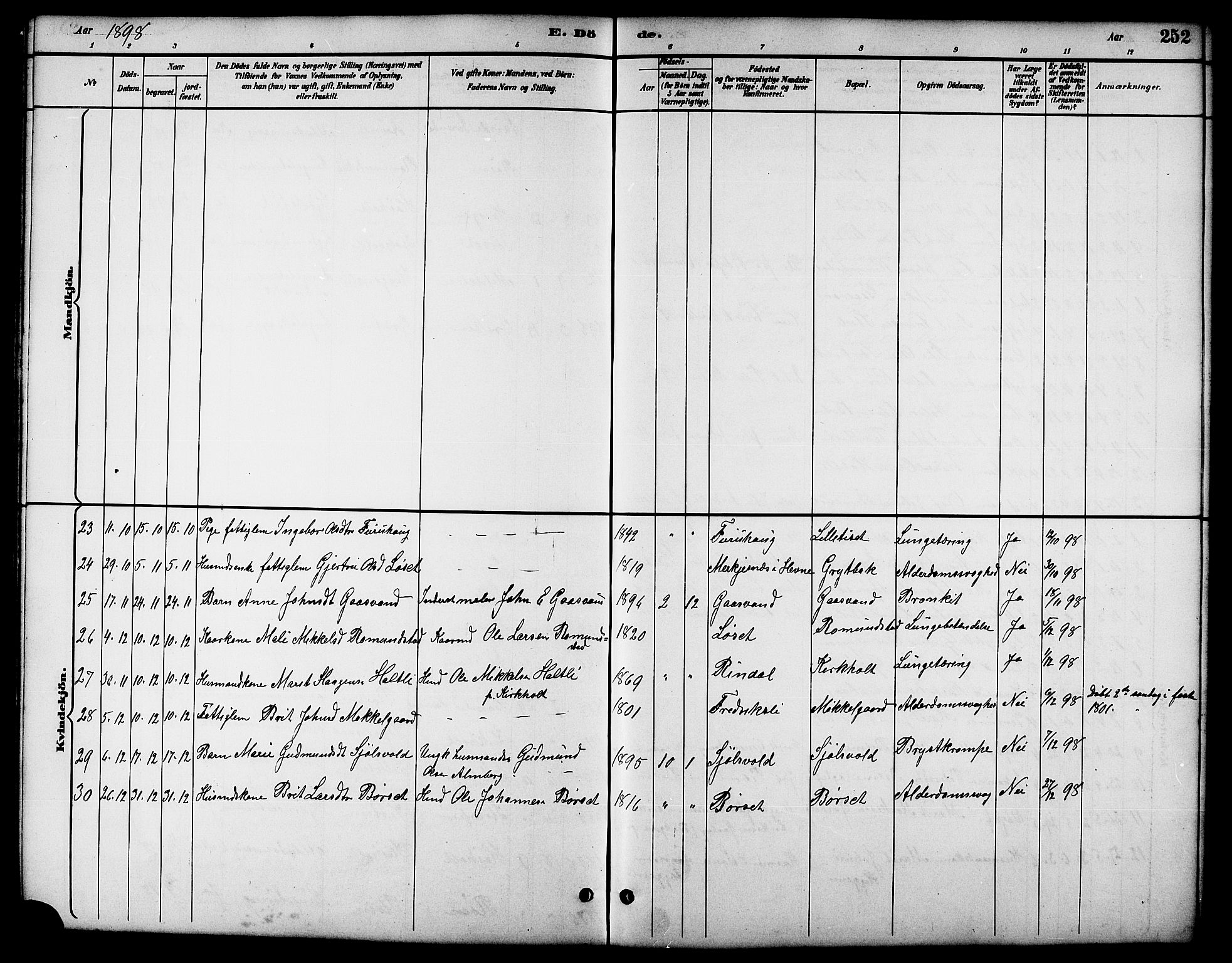 Ministerialprotokoller, klokkerbøker og fødselsregistre - Møre og Romsdal, SAT/A-1454/598/L1078: Parish register (copy) no. 598C03, 1892-1909, p. 252