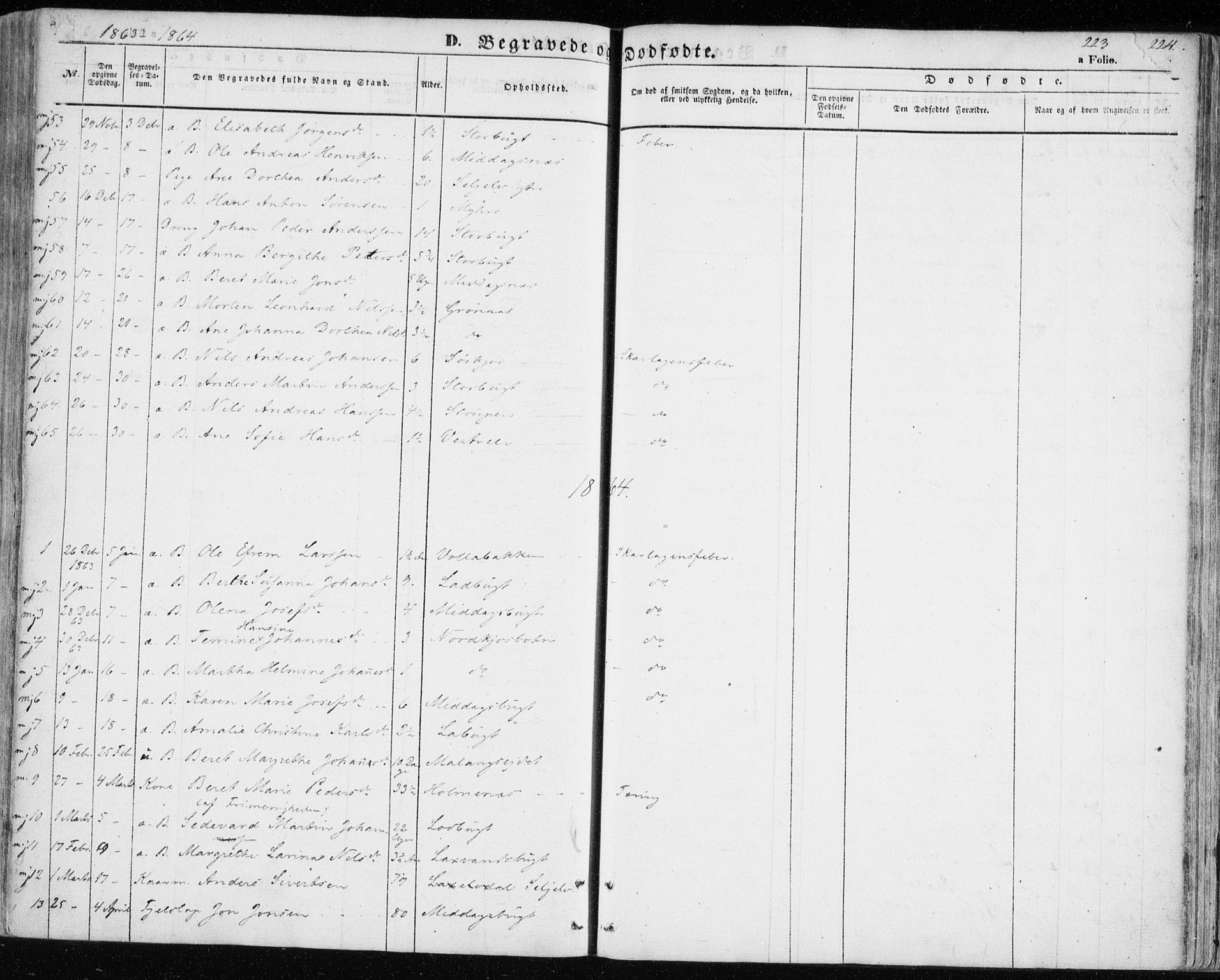Balsfjord sokneprestembete, AV/SATØ-S-1303/G/Gaa/L0003kirke: Parish register (official) no. 3, 1856-1870, p. 223
