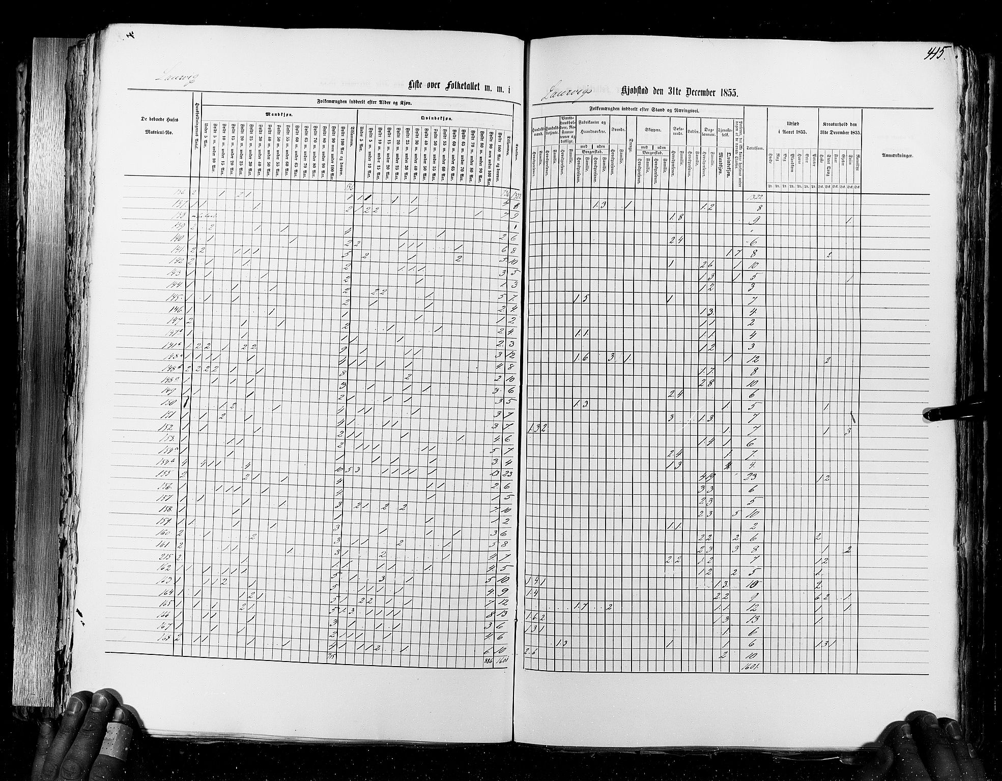 RA, Census 1855, vol. 7: Fredrikshald-Kragerø, 1855, p. 415