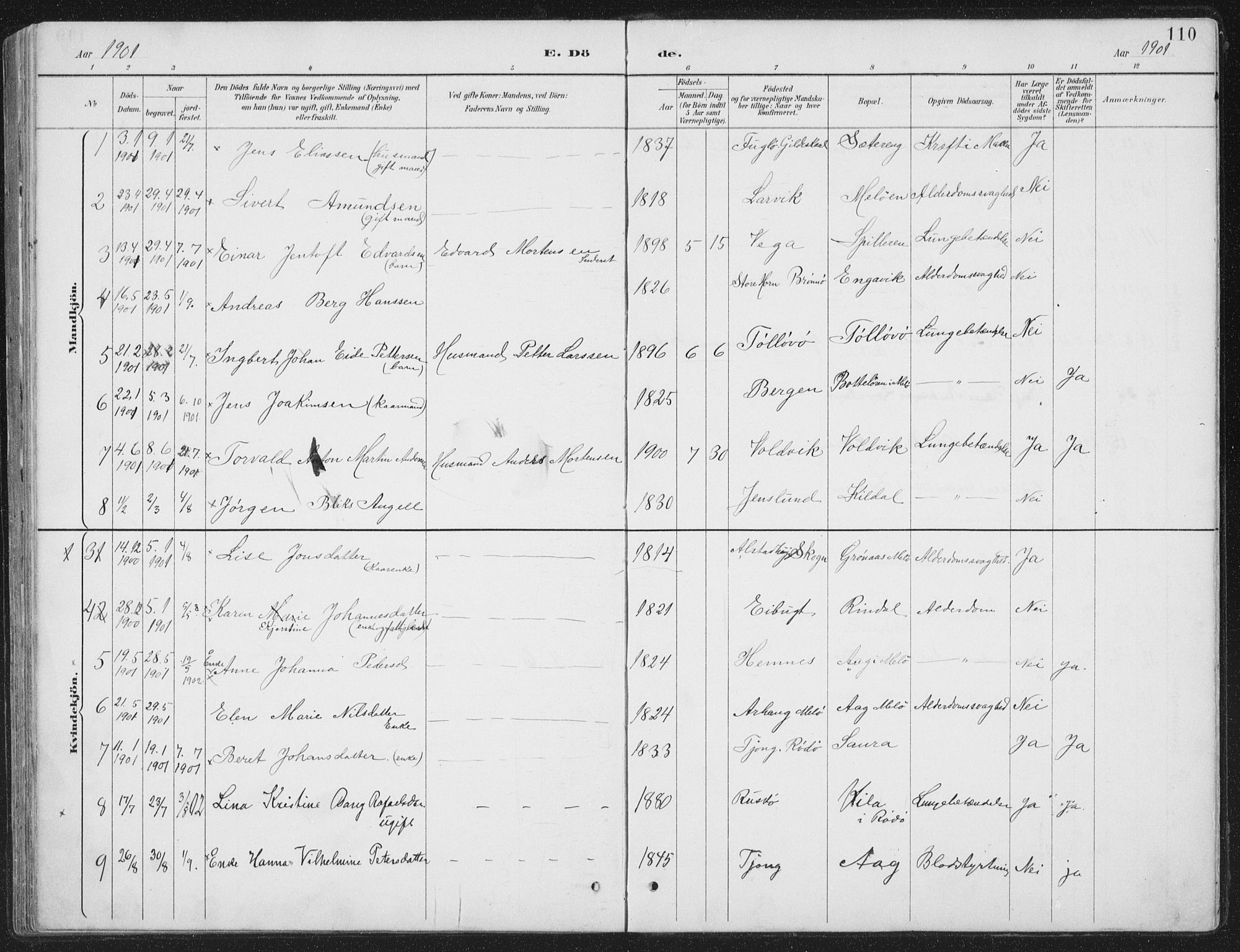 Ministerialprotokoller, klokkerbøker og fødselsregistre - Nordland, AV/SAT-A-1459/843/L0638: Parish register (copy) no. 843C07, 1888-1907, p. 110