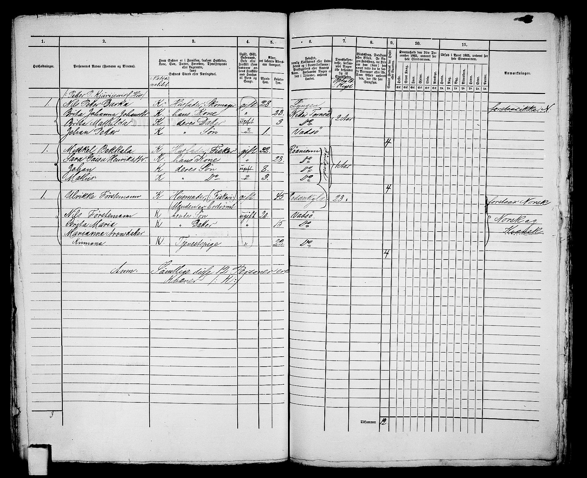 RA, 1865 census for Vadsø/Vadsø, 1865, p. 219