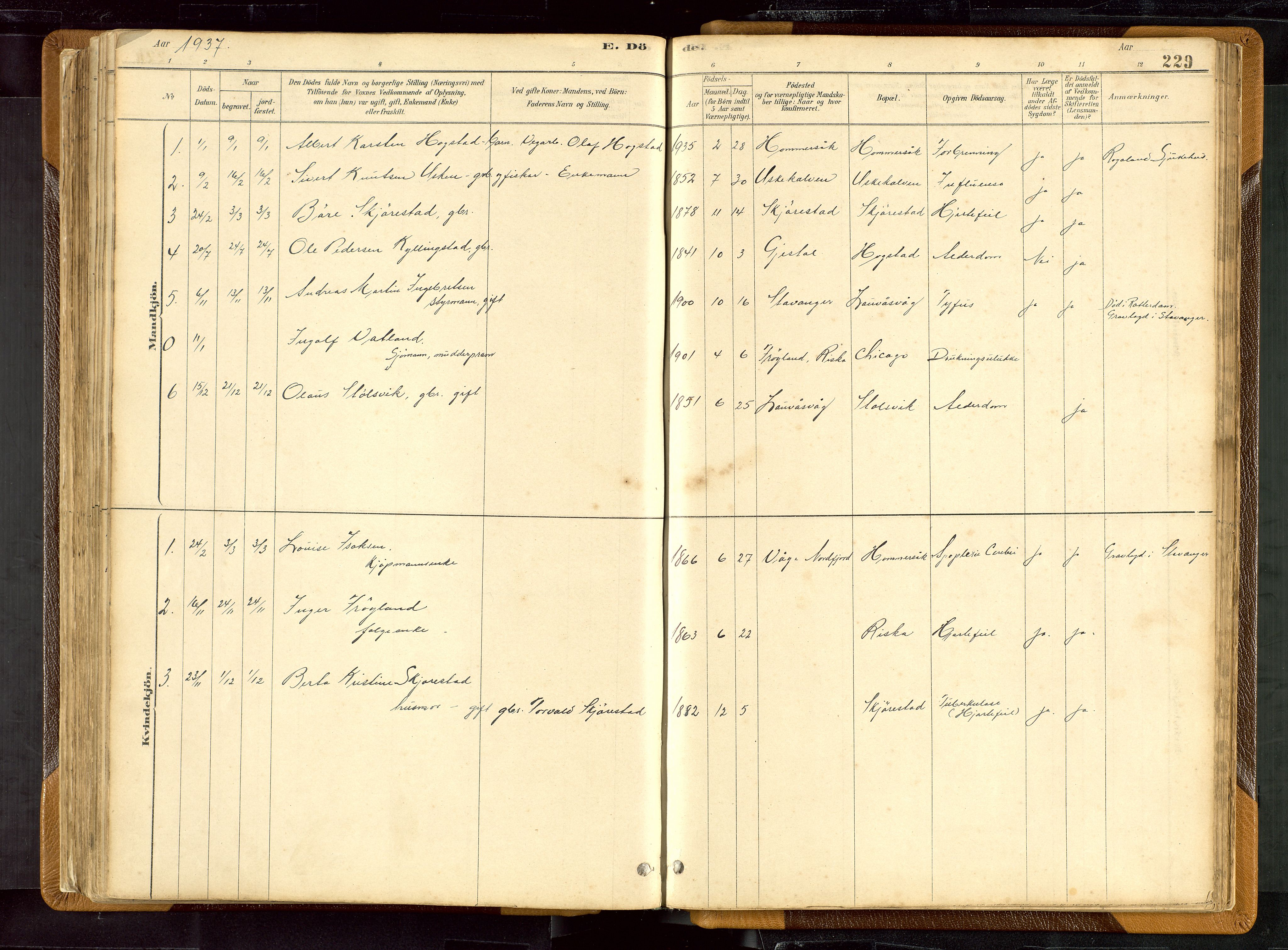 Hetland sokneprestkontor, SAST/A-101826/30/30BB/L0007: Parish register (copy) no. B 7, 1878-1910, p. 229
