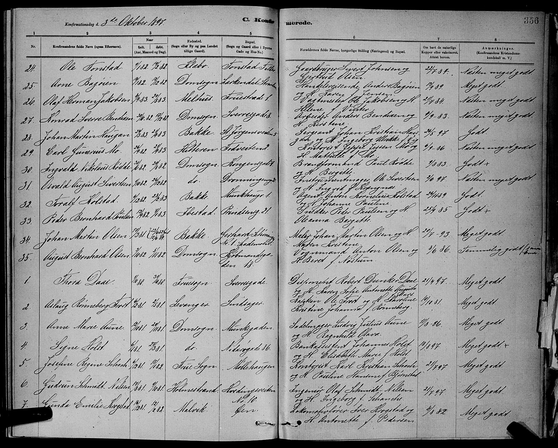 Ministerialprotokoller, klokkerbøker og fødselsregistre - Sør-Trøndelag, AV/SAT-A-1456/601/L0092: Parish register (copy) no. 601C10, 1884-1897, p. 356