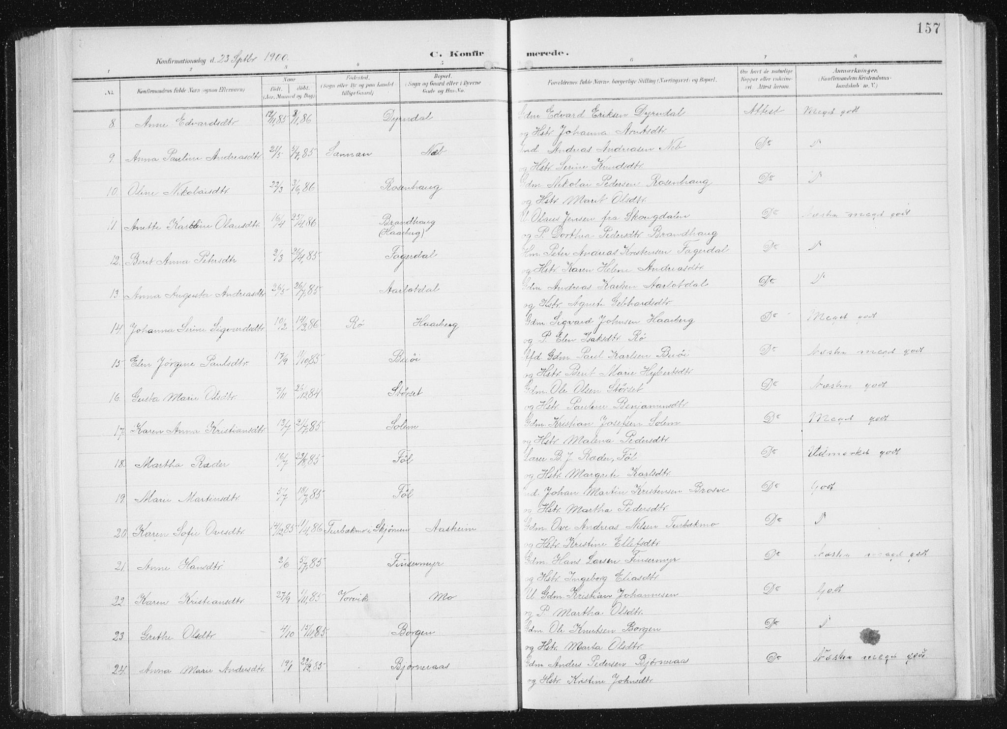 Ministerialprotokoller, klokkerbøker og fødselsregistre - Sør-Trøndelag, AV/SAT-A-1456/647/L0635: Parish register (official) no. 647A02, 1896-1911, p. 157