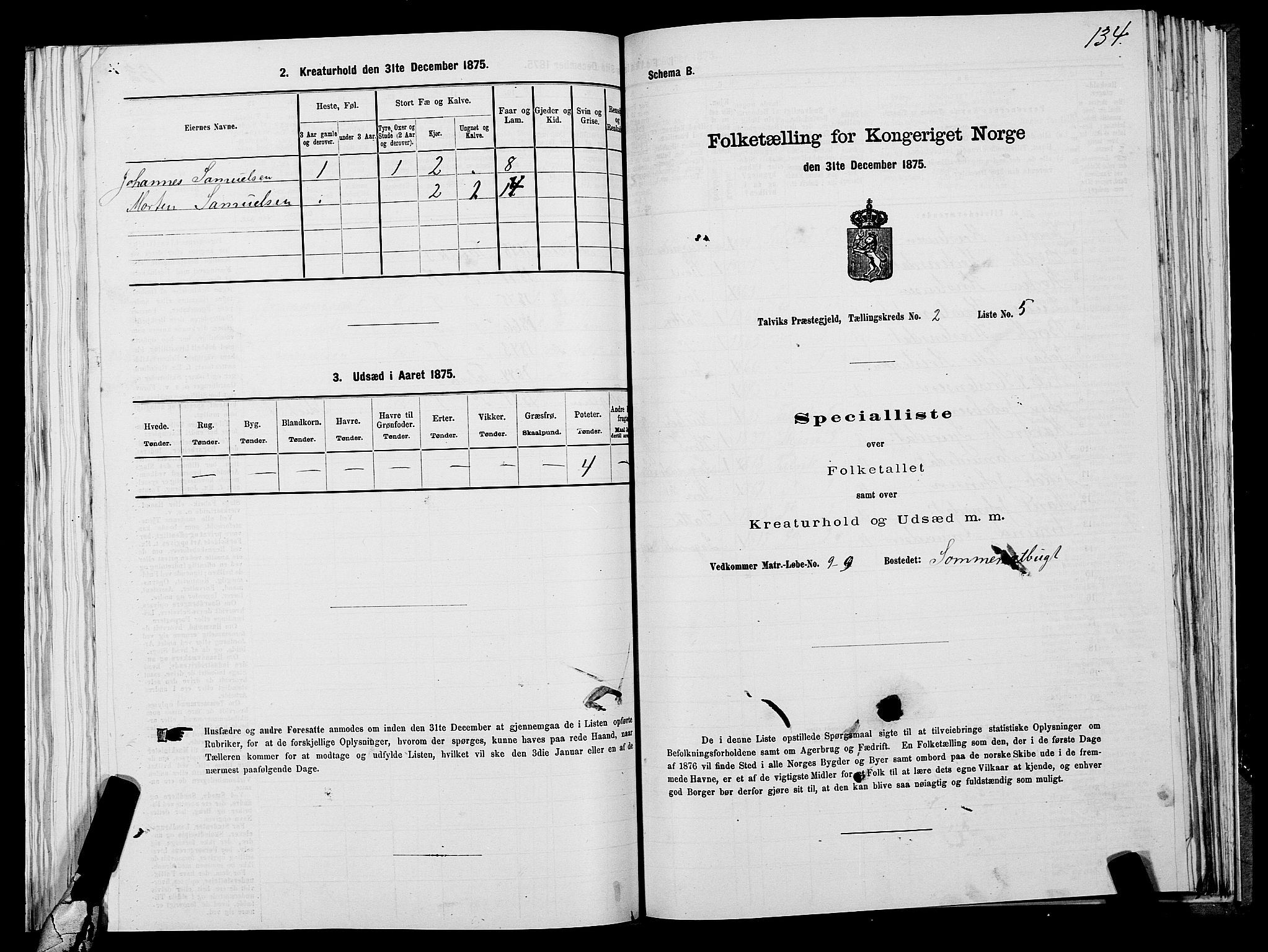 SATØ, 1875 census for 2013P Talvik, 1875, p. 1134