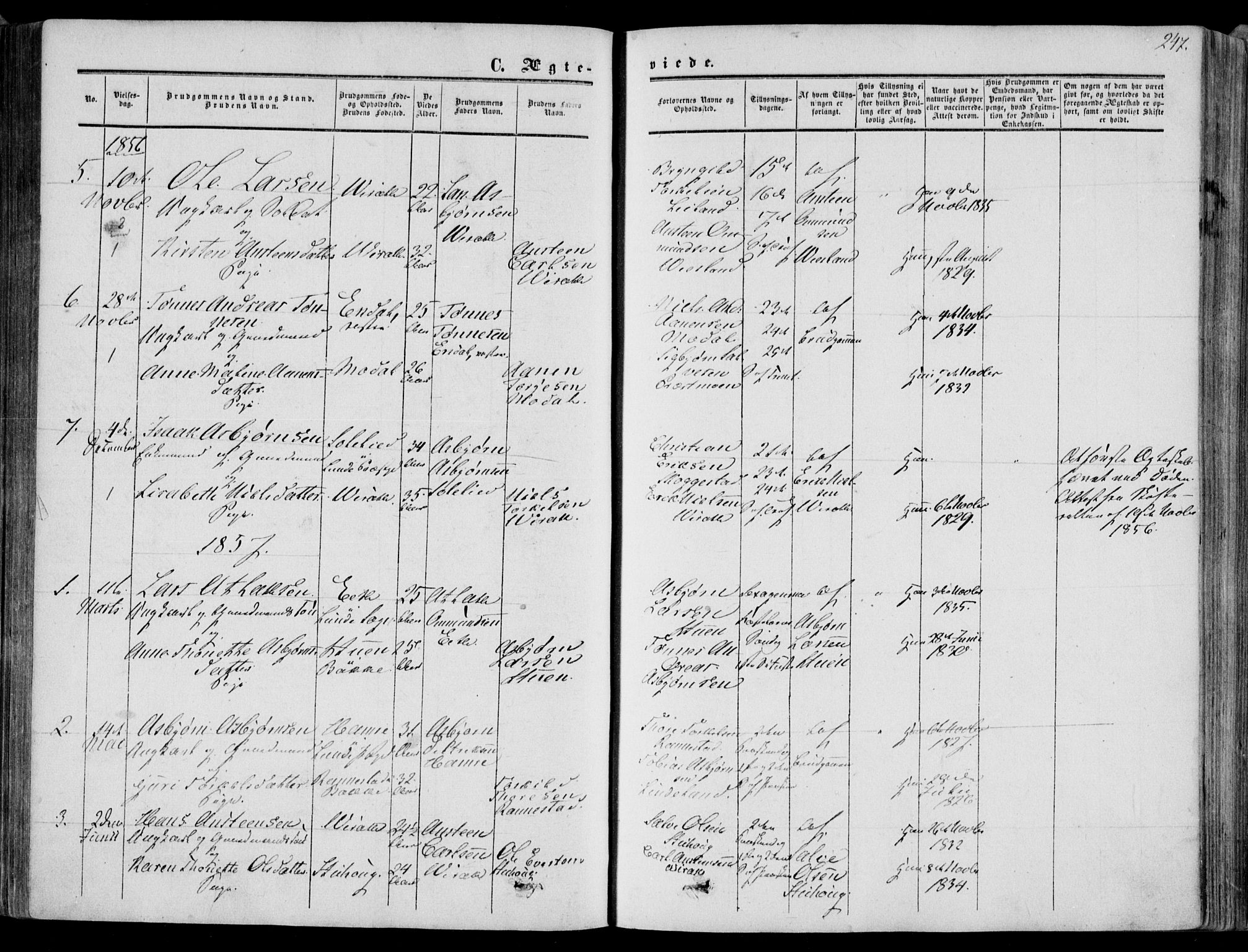 Bakke sokneprestkontor, SAK/1111-0002/F/Fa/Faa/L0006: Parish register (official) no. A 6, 1855-1877, p. 247