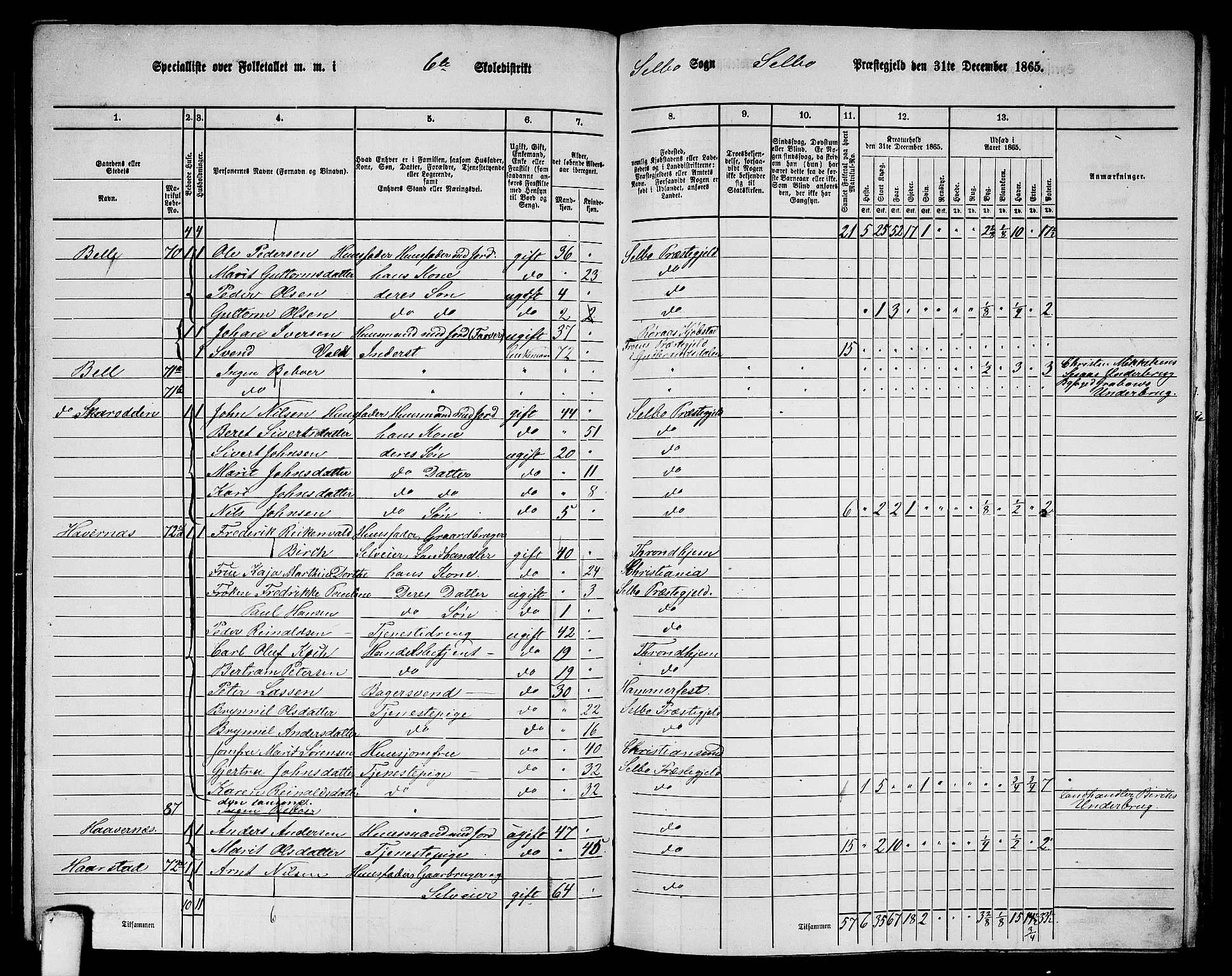 RA, 1865 census for Selbu, 1865, p. 92