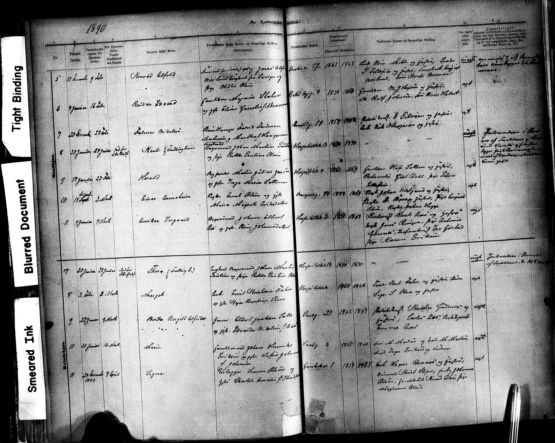 Ministerialprotokoller, klokkerbøker og fødselsregistre - Sør-Trøndelag, SAT/A-1456/602/L0119: Parish register (official) no. 602A17, 1880-1901, p. 99