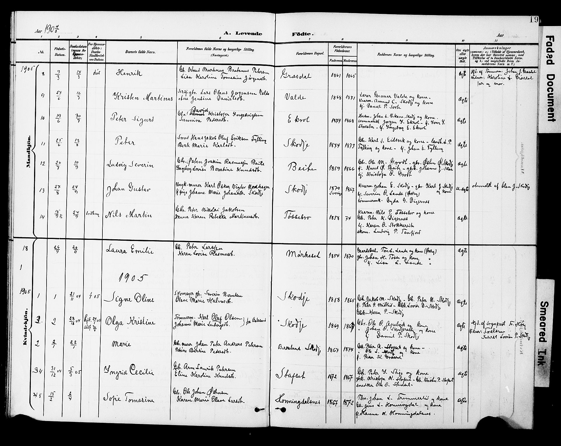 Ministerialprotokoller, klokkerbøker og fødselsregistre - Møre og Romsdal, AV/SAT-A-1454/524/L0366: Parish register (copy) no. 524C07, 1900-1931, p. 19