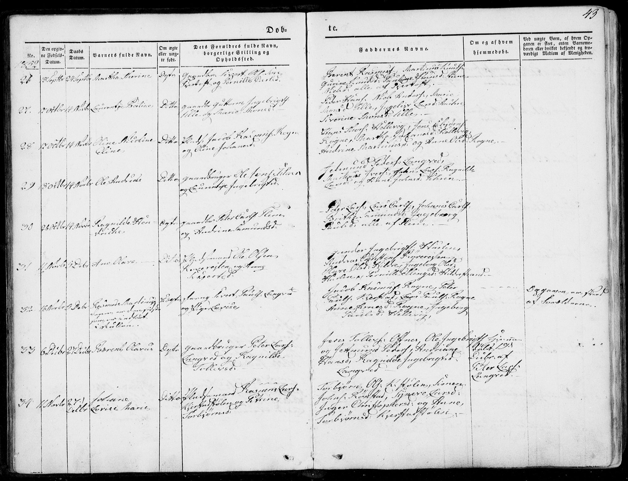 Ministerialprotokoller, klokkerbøker og fødselsregistre - Møre og Romsdal, AV/SAT-A-1454/536/L0497: Parish register (official) no. 536A06, 1845-1865, p. 43