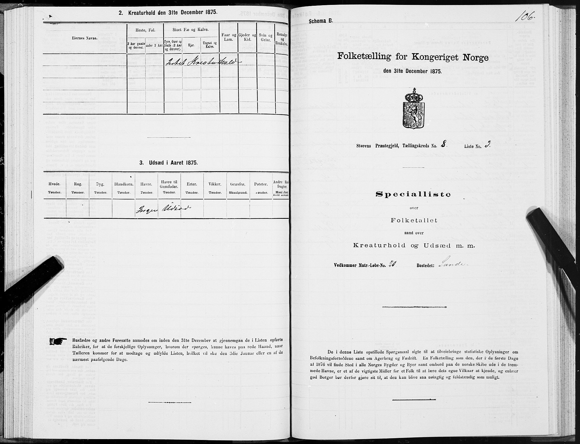 SAT, 1875 census for 1648P Støren, 1875, p. 4106