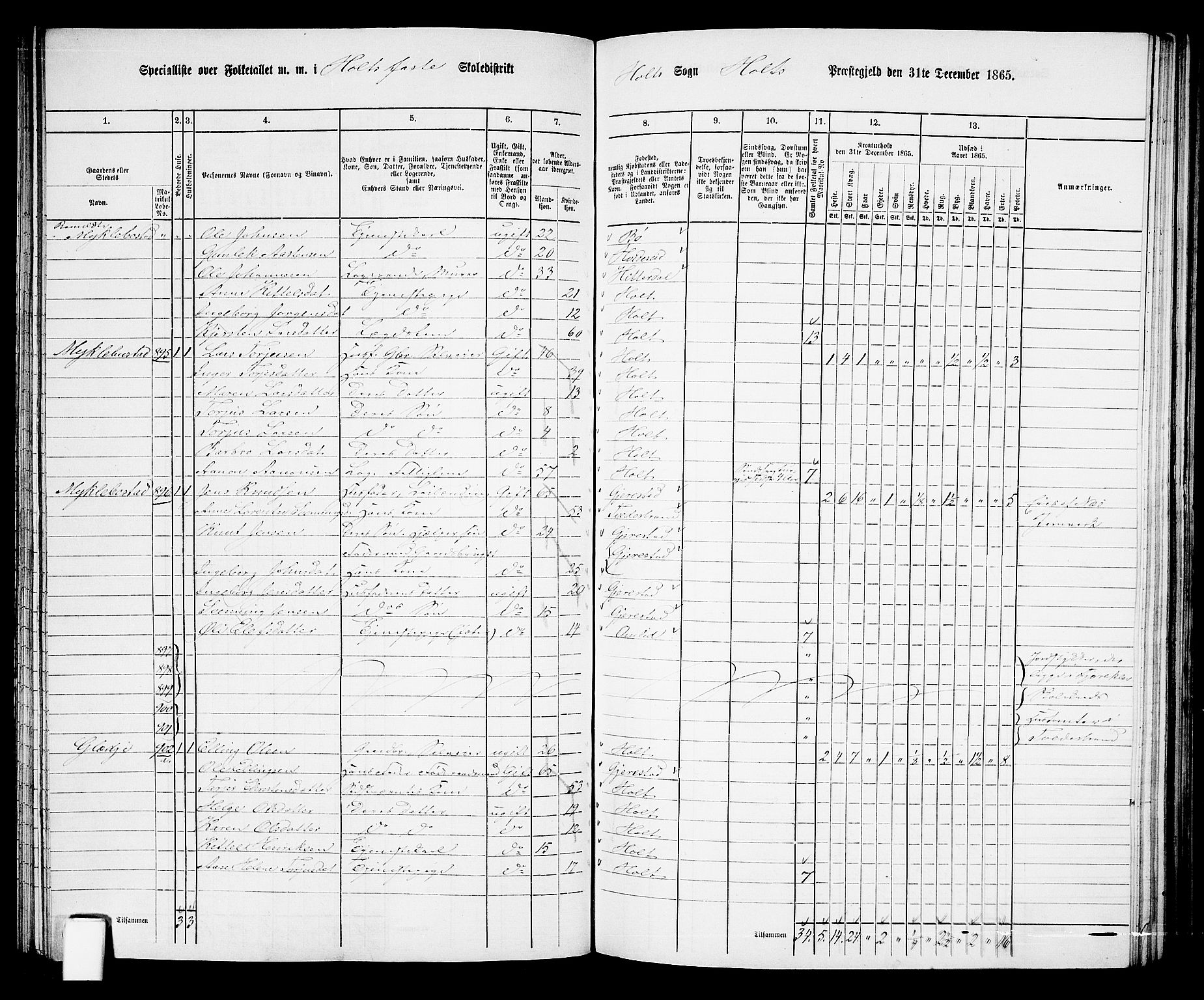 RA, 1865 census for Holt/Holt, 1865, p. 95