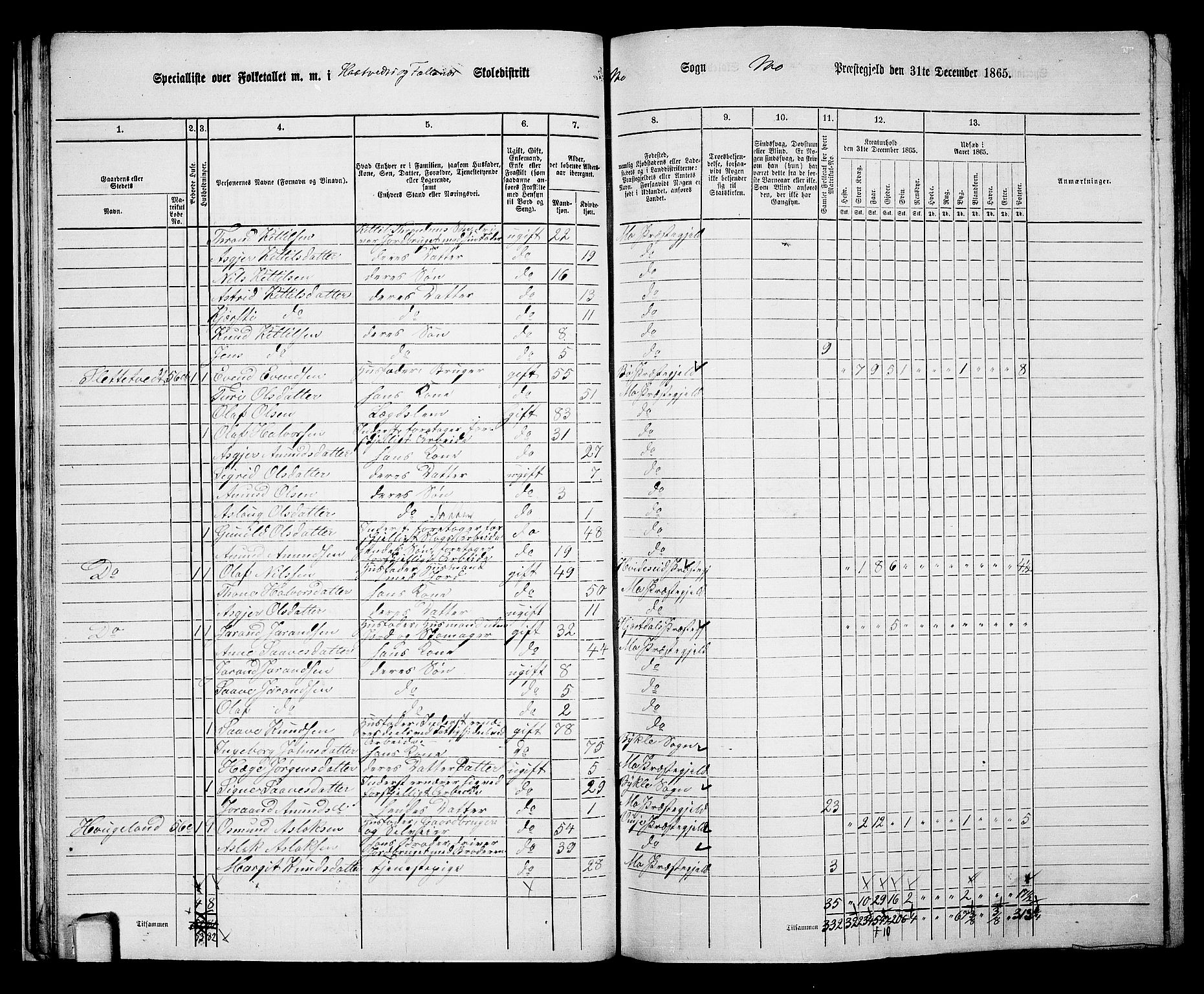 RA, 1865 census for Mo, 1865, p. 32