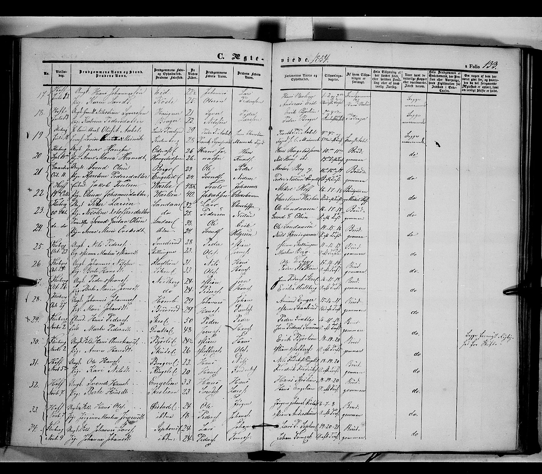 Land prestekontor, SAH/PREST-120/H/Ha/Haa/L0009: Parish register (official) no. 9, 1847-1859, p. 133