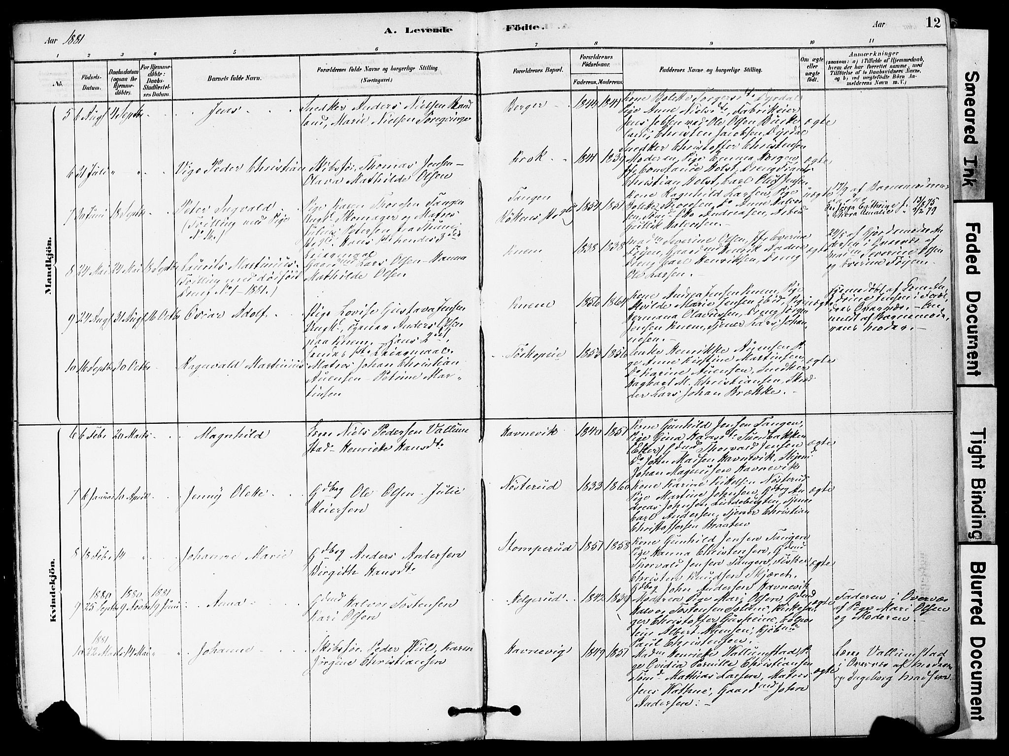 Strømm kirkebøker, AV/SAKO-A-322/F/Fa/L0004: Parish register (official) no. I 4, 1878-1899, p. 12