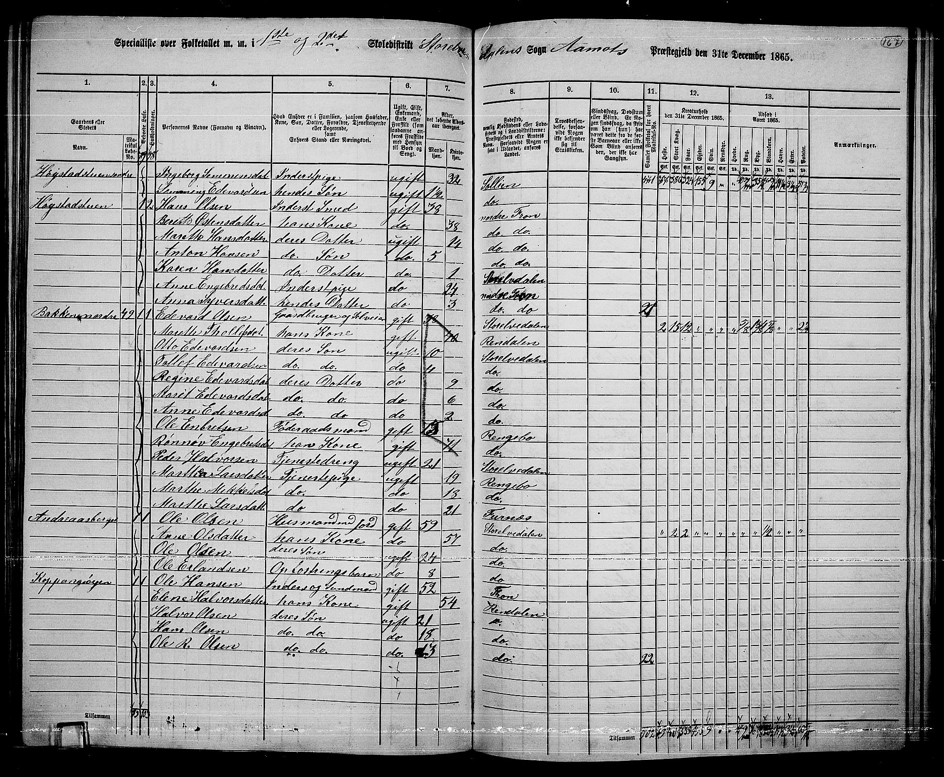 RA, 1865 census for Åmot, 1865, p. 146