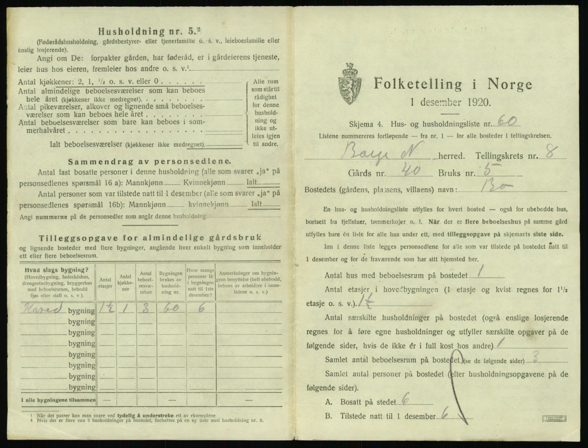 SAT, 1920 census for Borge, 1920, p. 1041