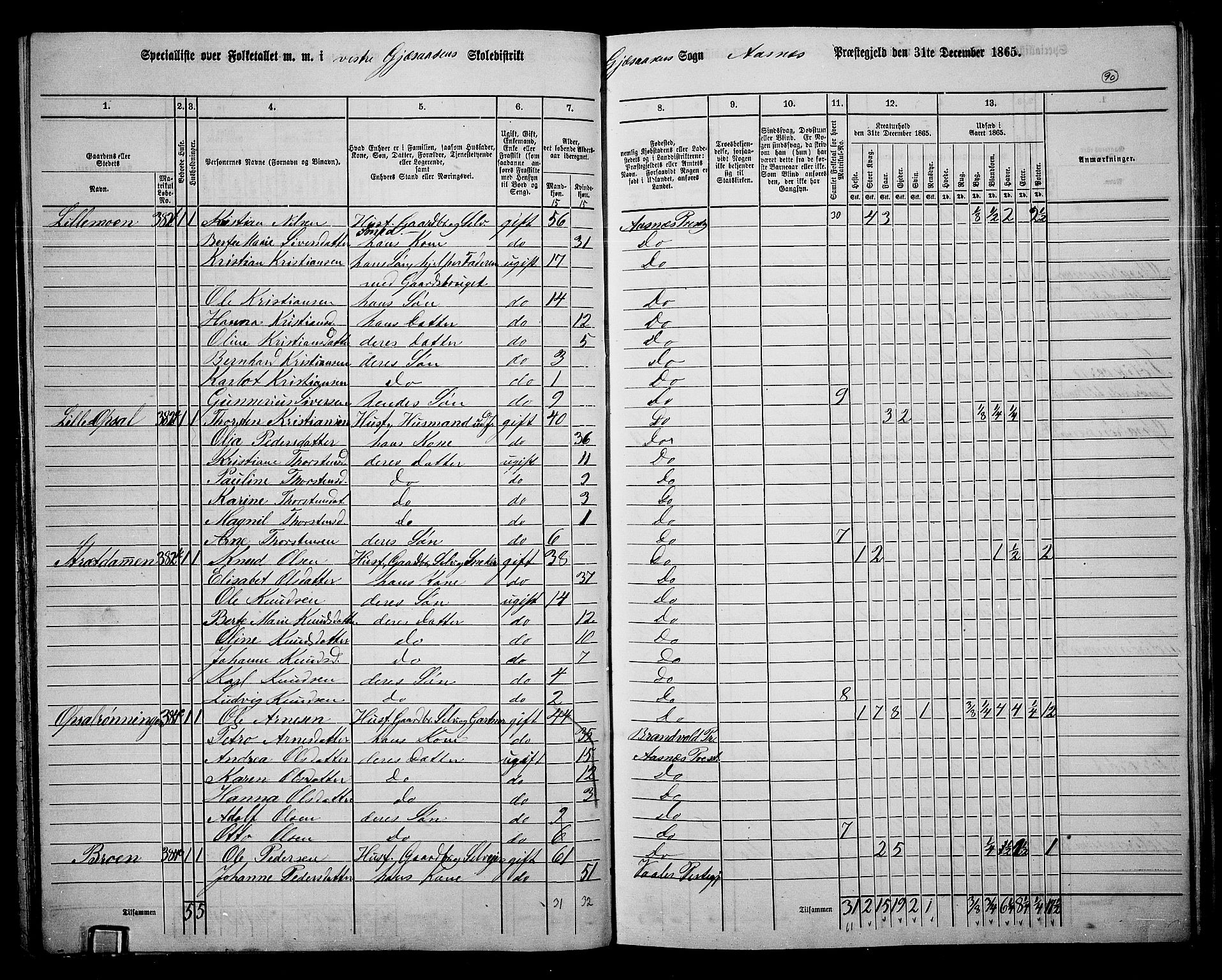 RA, 1865 census for Åsnes, 1865, p. 84