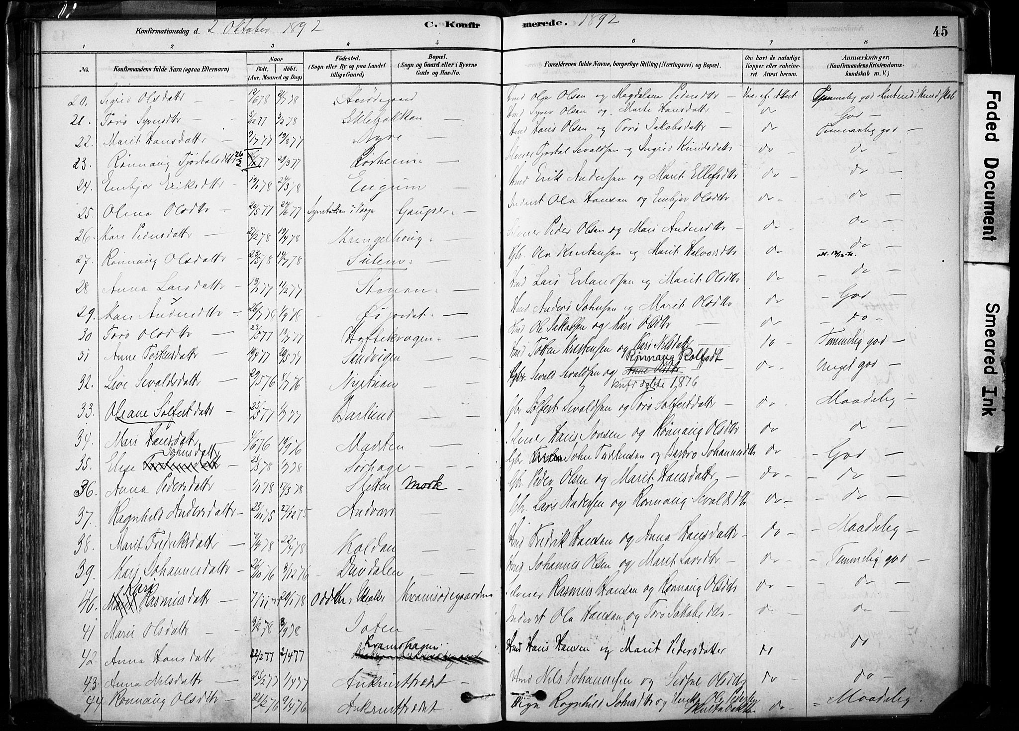 Lom prestekontor, AV/SAH-PREST-070/K/L0009: Parish register (official) no. 9, 1878-1907, p. 45