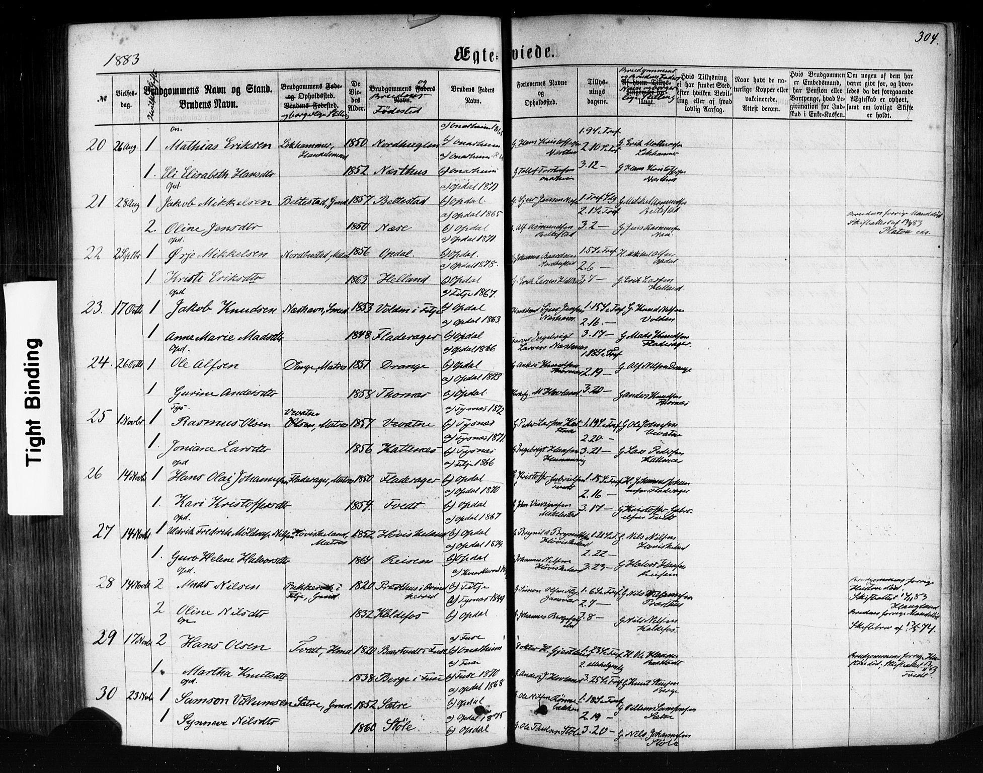 Tysnes sokneprestembete, AV/SAB-A-78601/H/Haa: Parish register (official) no. A 12, 1872-1886, p. 304