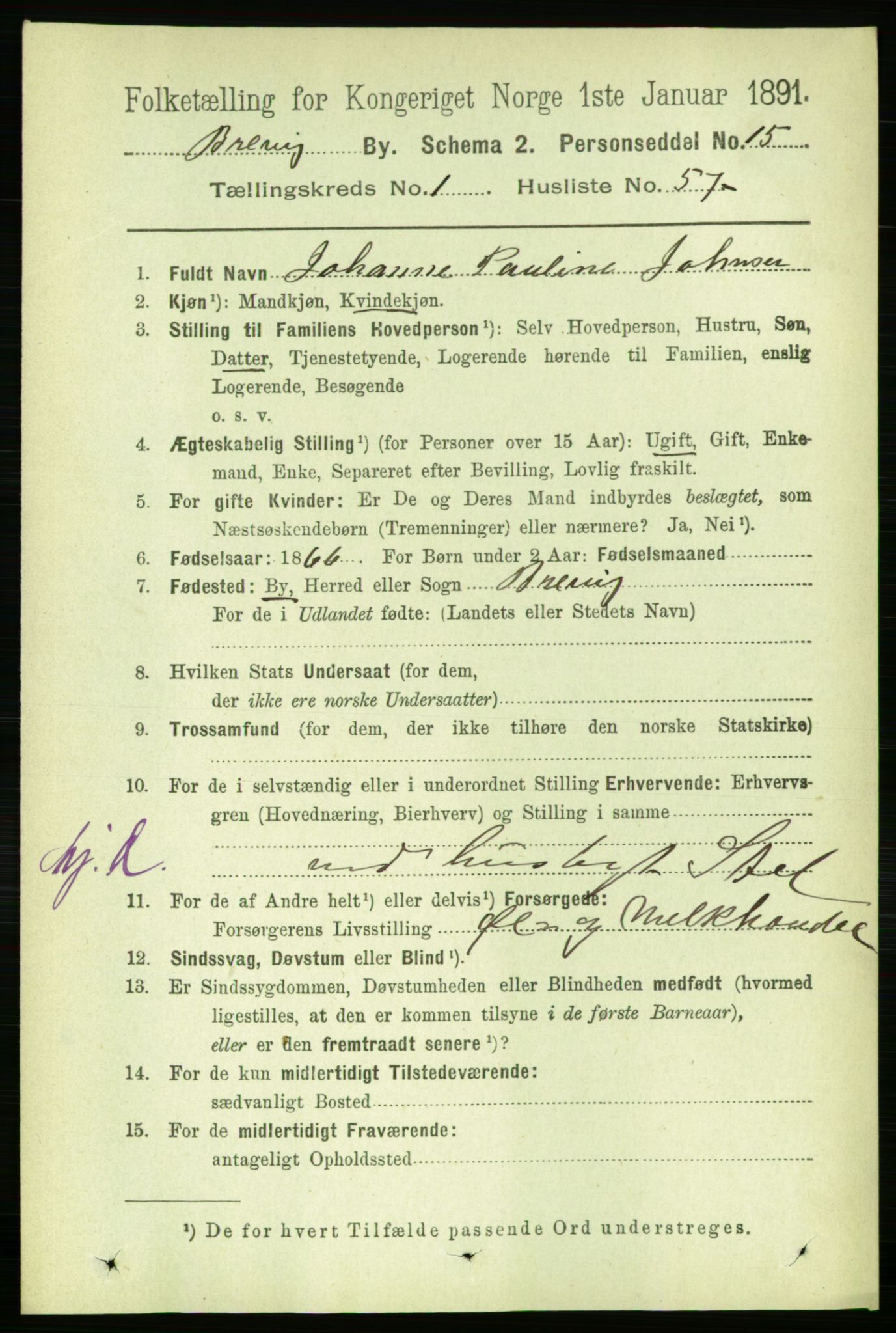 RA, 1891 census for 0804 Brevik, 1891, p. 1183