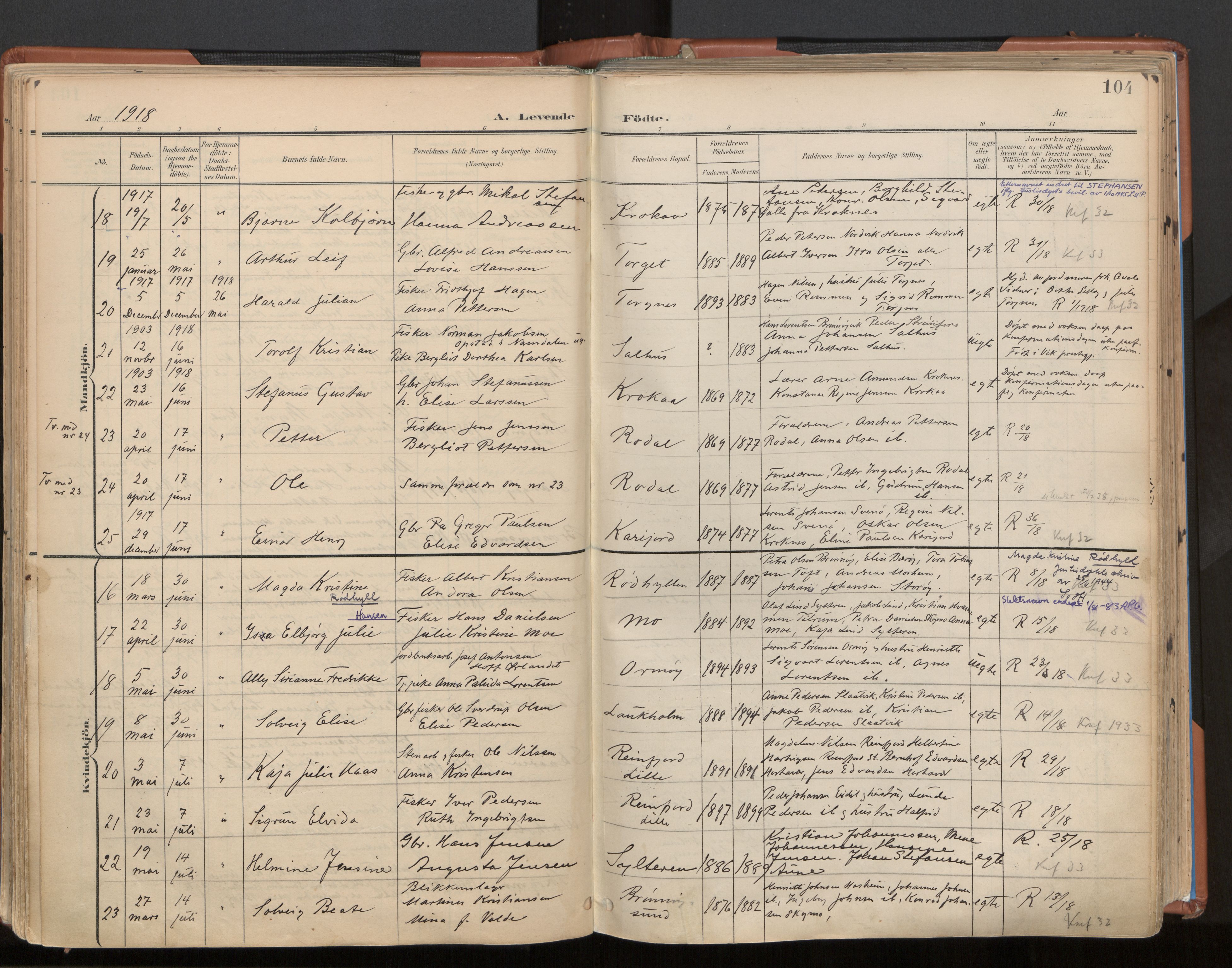 Ministerialprotokoller, klokkerbøker og fødselsregistre - Nordland, AV/SAT-A-1459/813/L0201: Parish register (official) no. 813A11, 1901-1918, p. 104