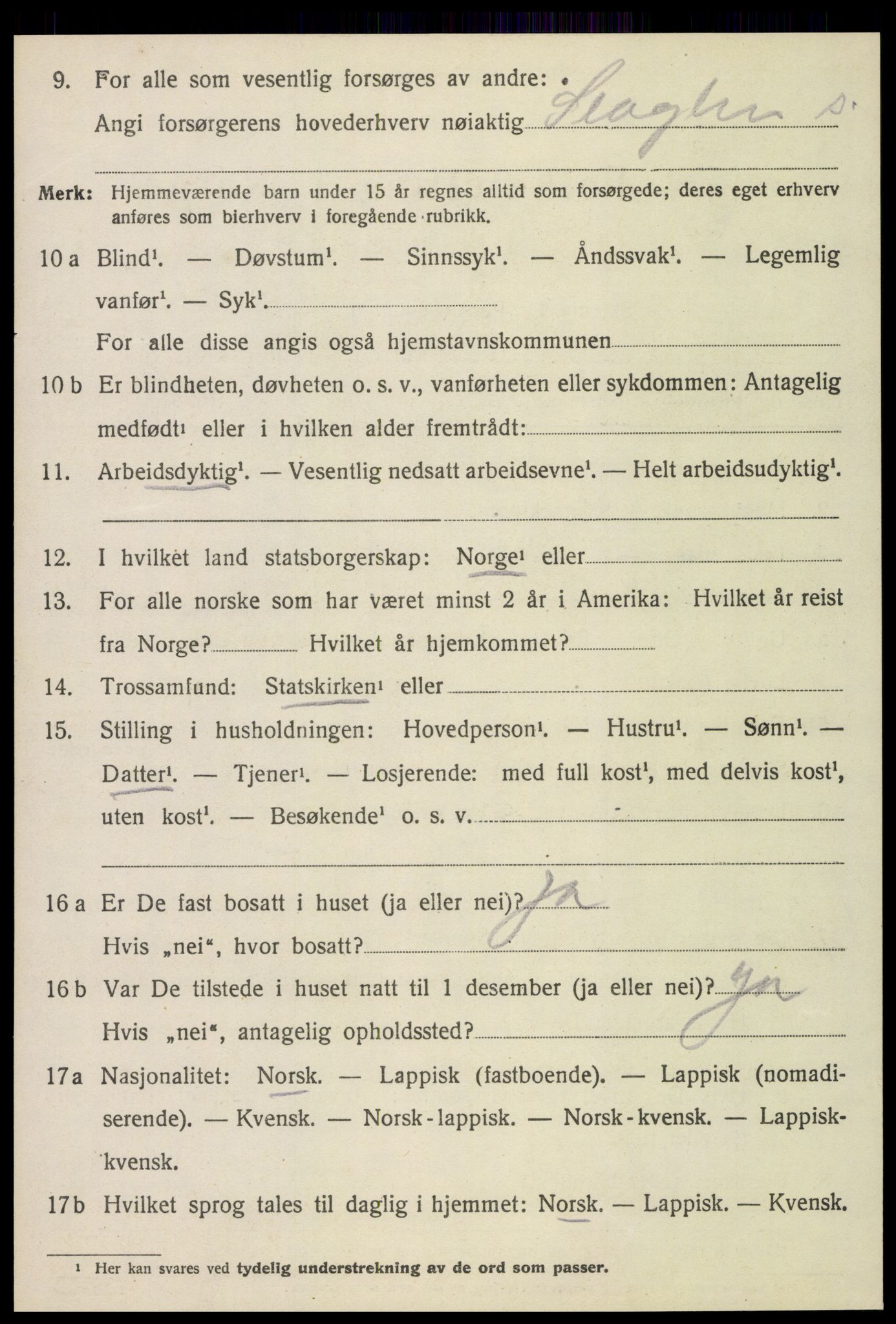 SAT, 1920 census for Stjørdal, 1920, p. 4541