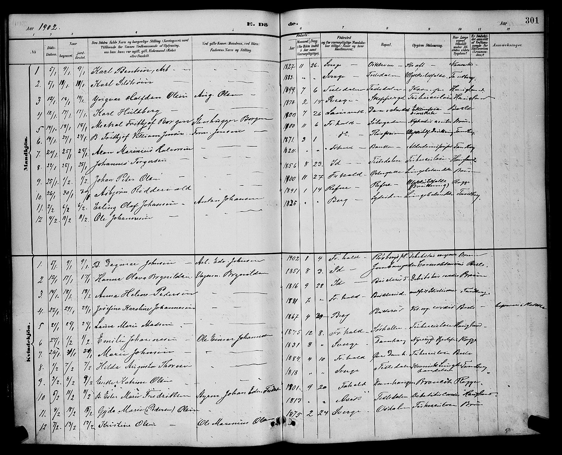 Halden prestekontor Kirkebøker, SAO/A-10909/G/Ga/L0009: Parish register (copy) no. 9, 1885-1908, p. 301
