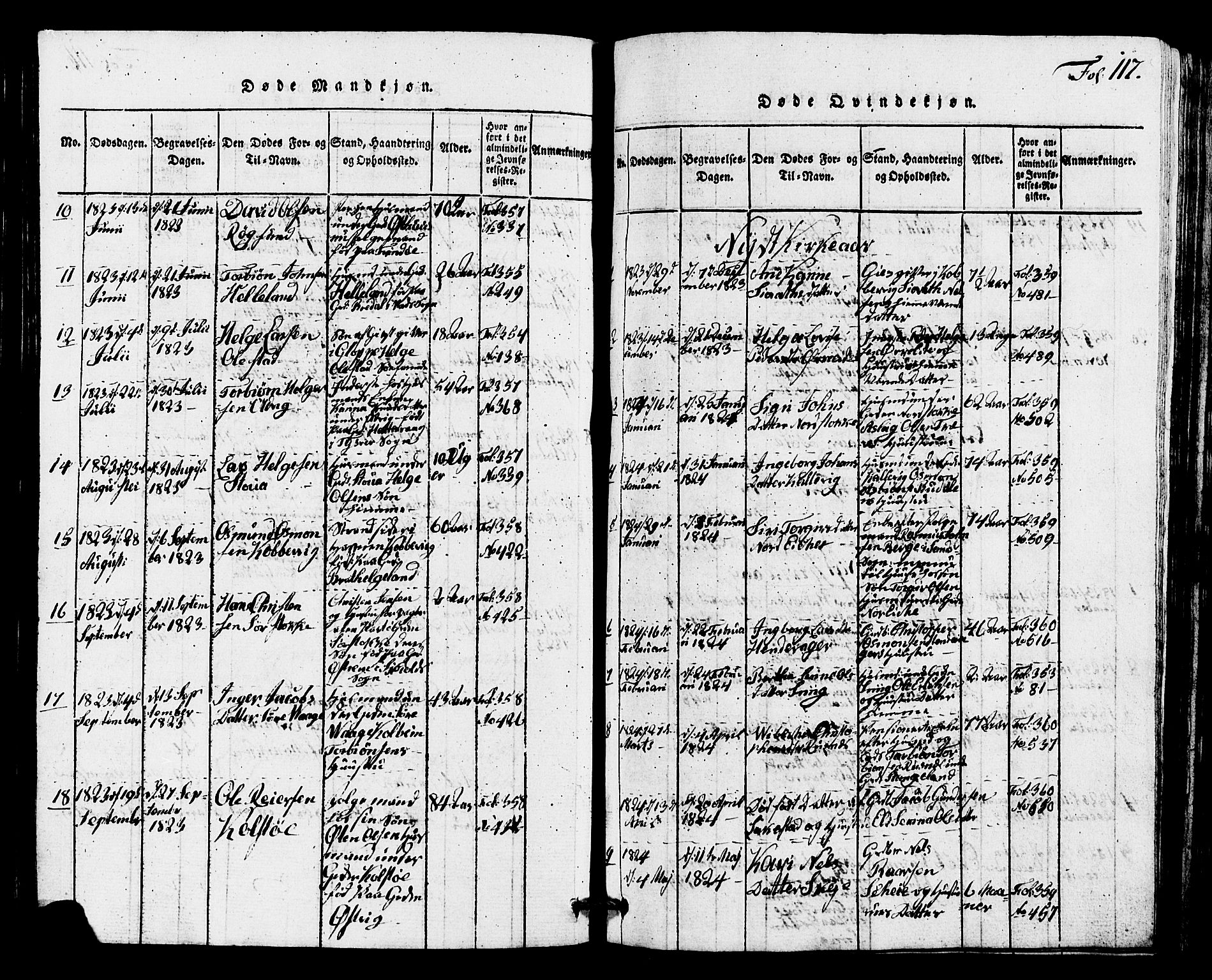 Avaldsnes sokneprestkontor, SAST/A -101851/H/Ha/Hab/L0001: Parish register (copy) no. B 1, 1816-1825, p. 117