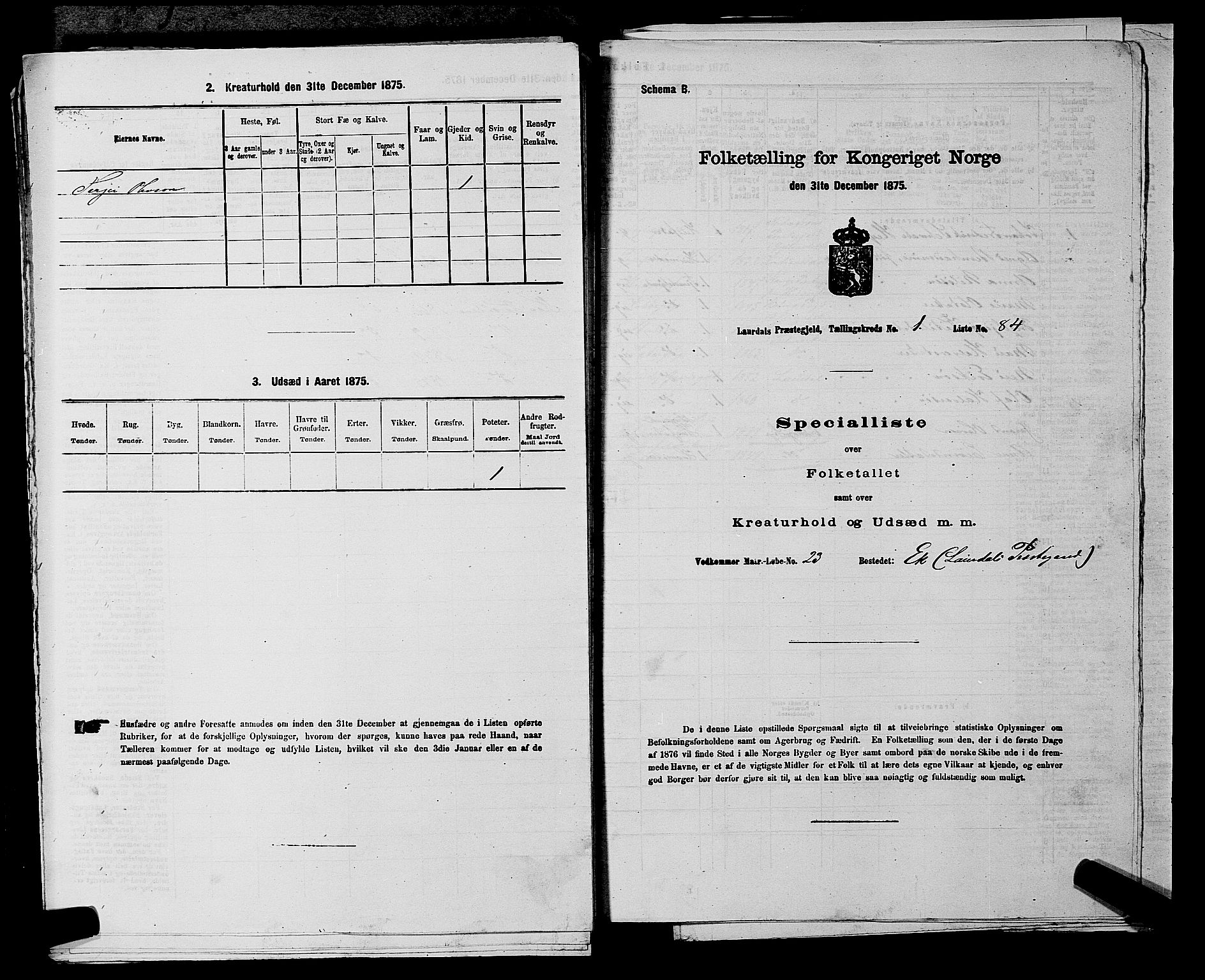 SAKO, 1875 census for 0833P Lårdal, 1875, p. 208