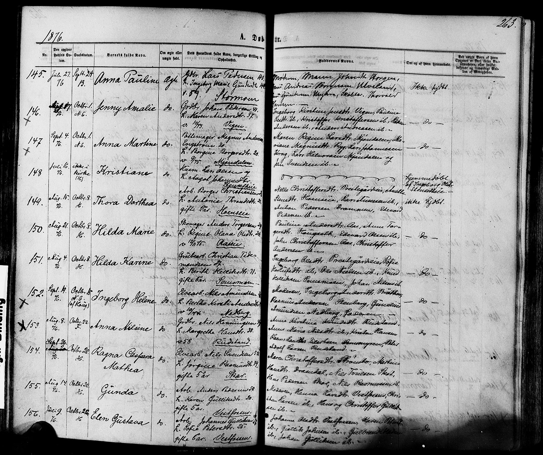 Eiker kirkebøker, AV/SAKO-A-4/F/Fa/L0017: Parish register (official) no. I 17, 1869-1877, p. 263