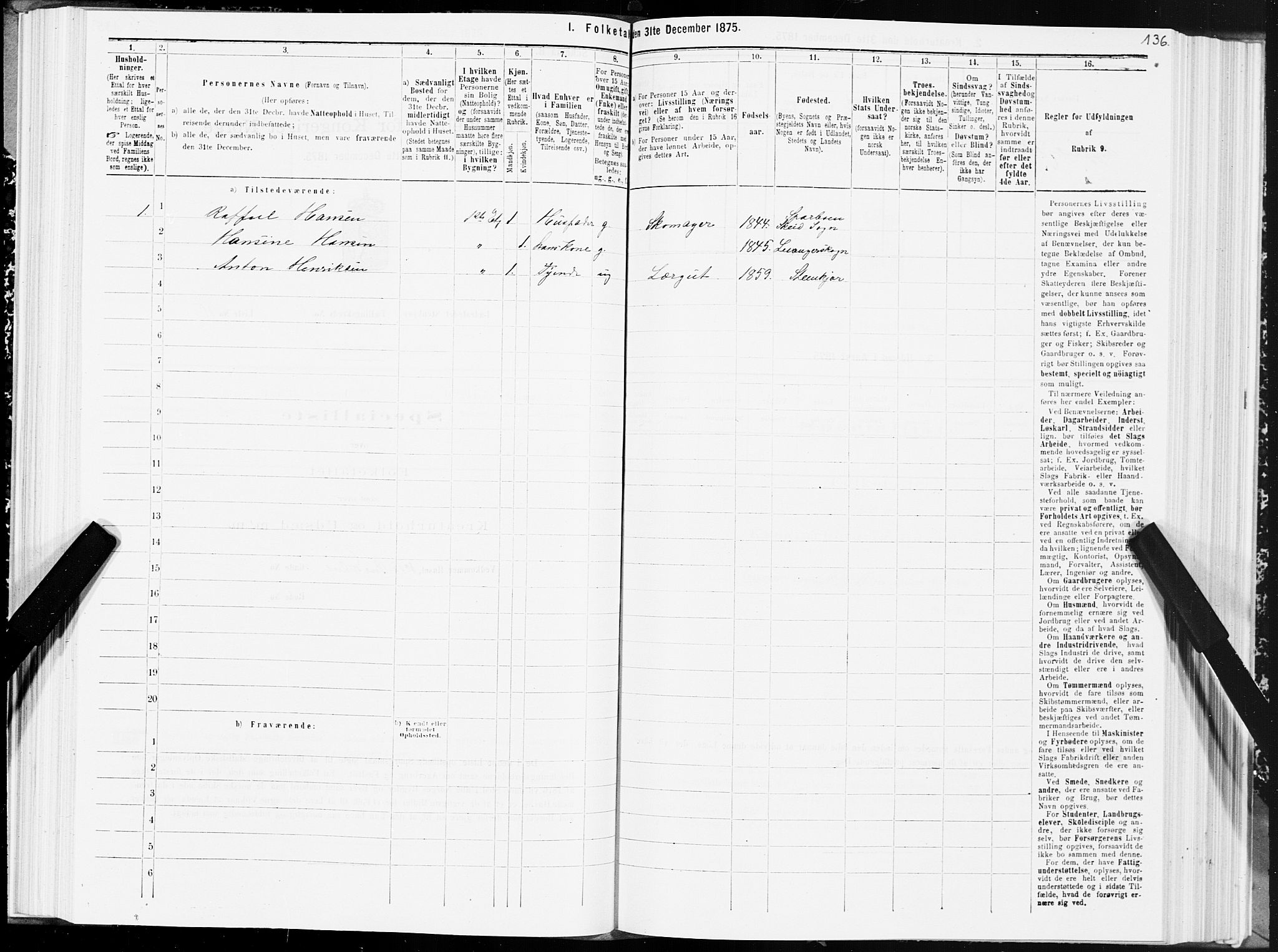 SAT, 1875 census for 1702B Steinkjer/Steinkjer, 1875, p. 136