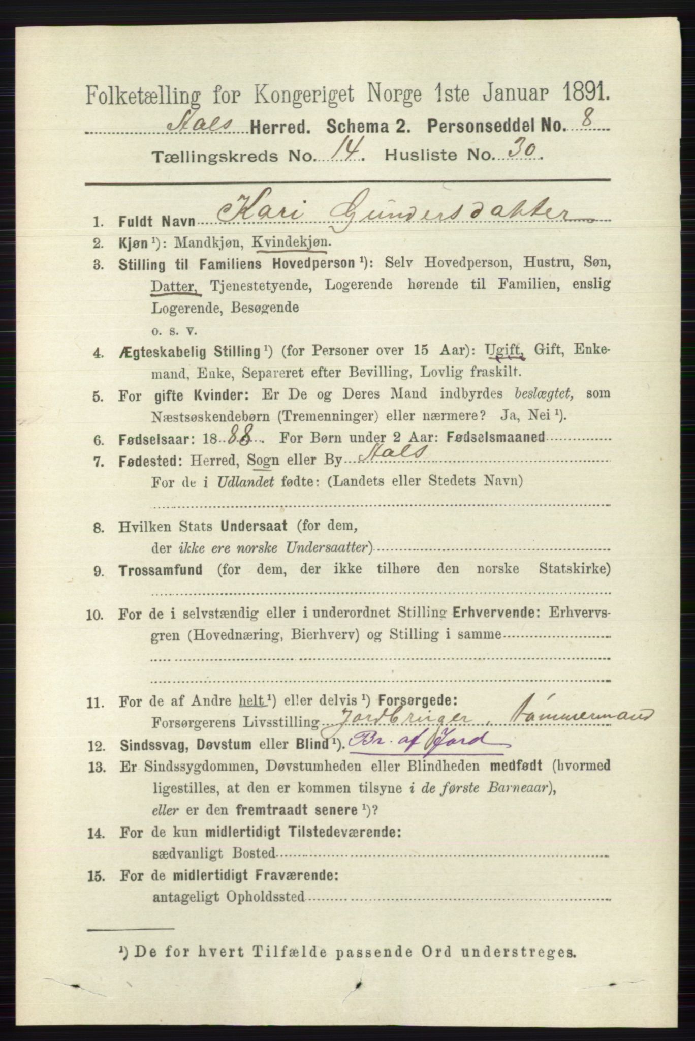 RA, 1891 census for 0619 Ål, 1891, p. 3691