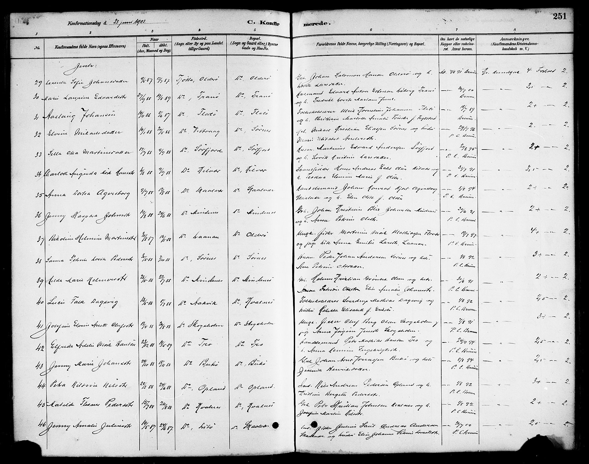 Ministerialprotokoller, klokkerbøker og fødselsregistre - Nordland, AV/SAT-A-1459/817/L0268: Parish register (copy) no. 817C03, 1884-1920, p. 251