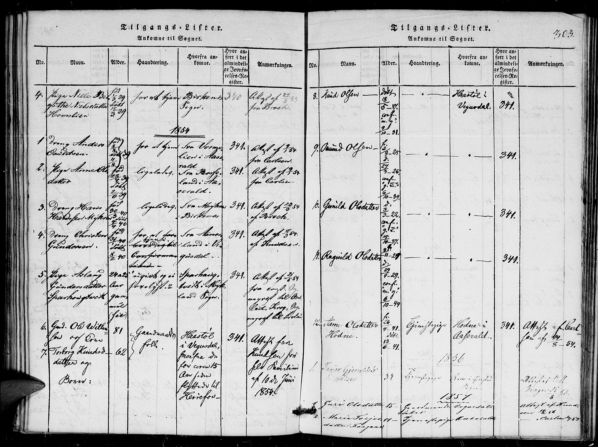 Herefoss sokneprestkontor, AV/SAK-1111-0019/F/Fa/Faa/L0001: Parish register (official) no. A 1, 1816-1860, p. 303