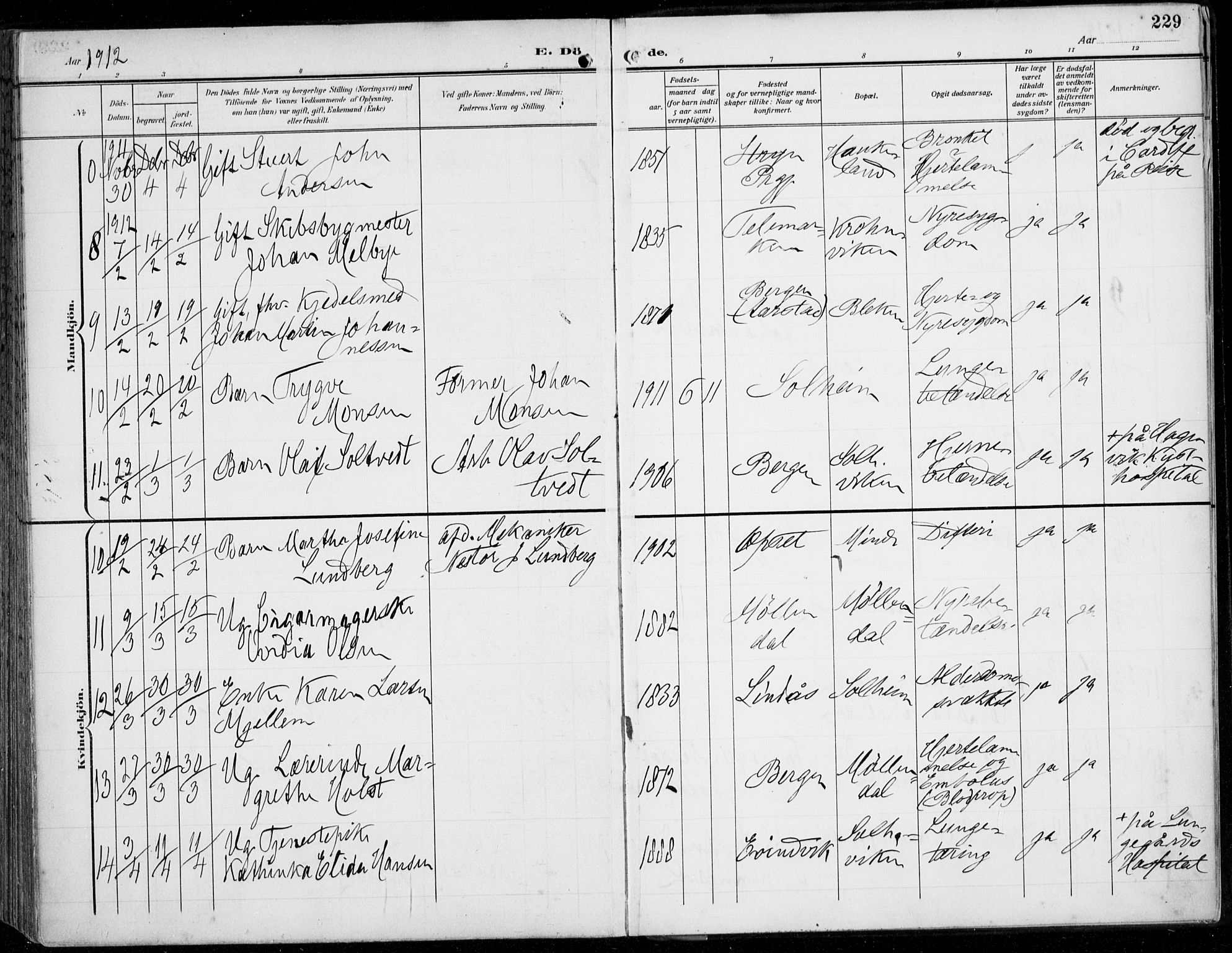 Årstad Sokneprestembete, AV/SAB-A-79301/H/Haa/L0009: Parish register (official) no. C 1, 1902-1918, p. 229