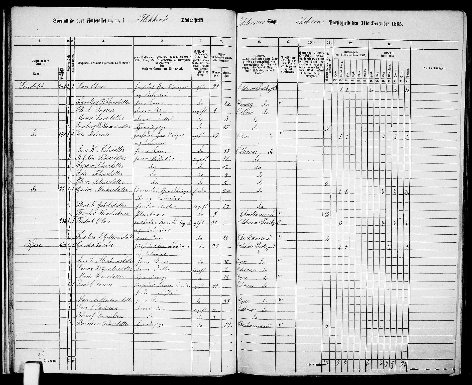 RA, 1865 census for Oddernes, 1865, p. 26