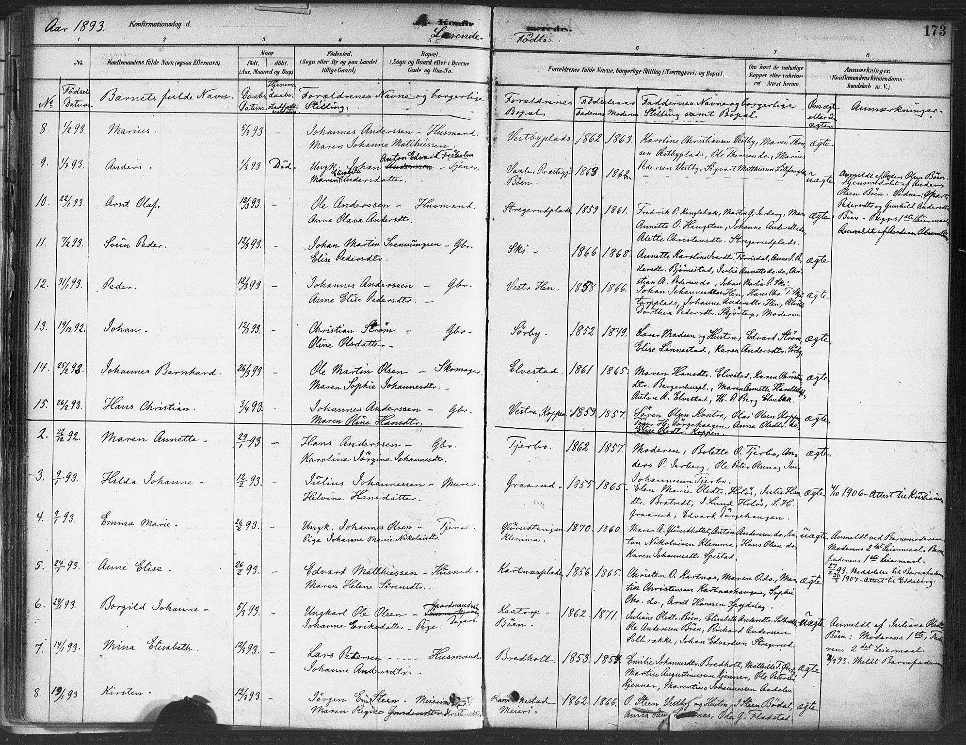 Rakkestad prestekontor Kirkebøker, AV/SAO-A-2008/F/Fa/L0012: Parish register (official) no. I 12, 1878-1893, p. 173