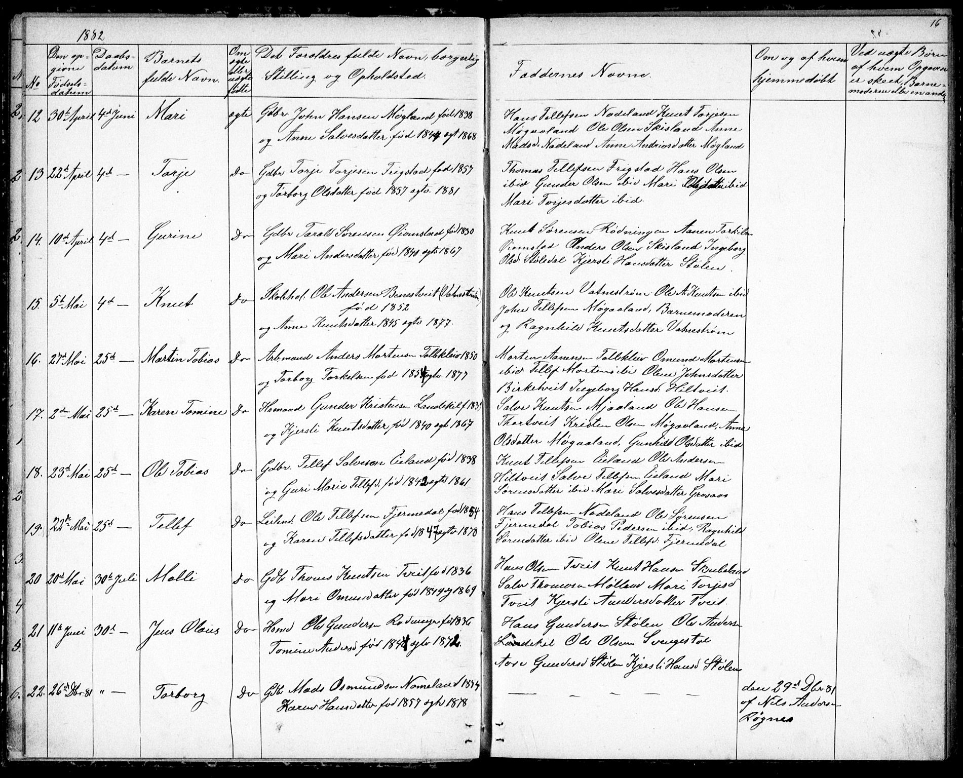 Evje sokneprestkontor, SAK/1111-0008/F/Fb/Fbc/L0003: Parish register (copy) no. B 3, 1876-1889, p. 16