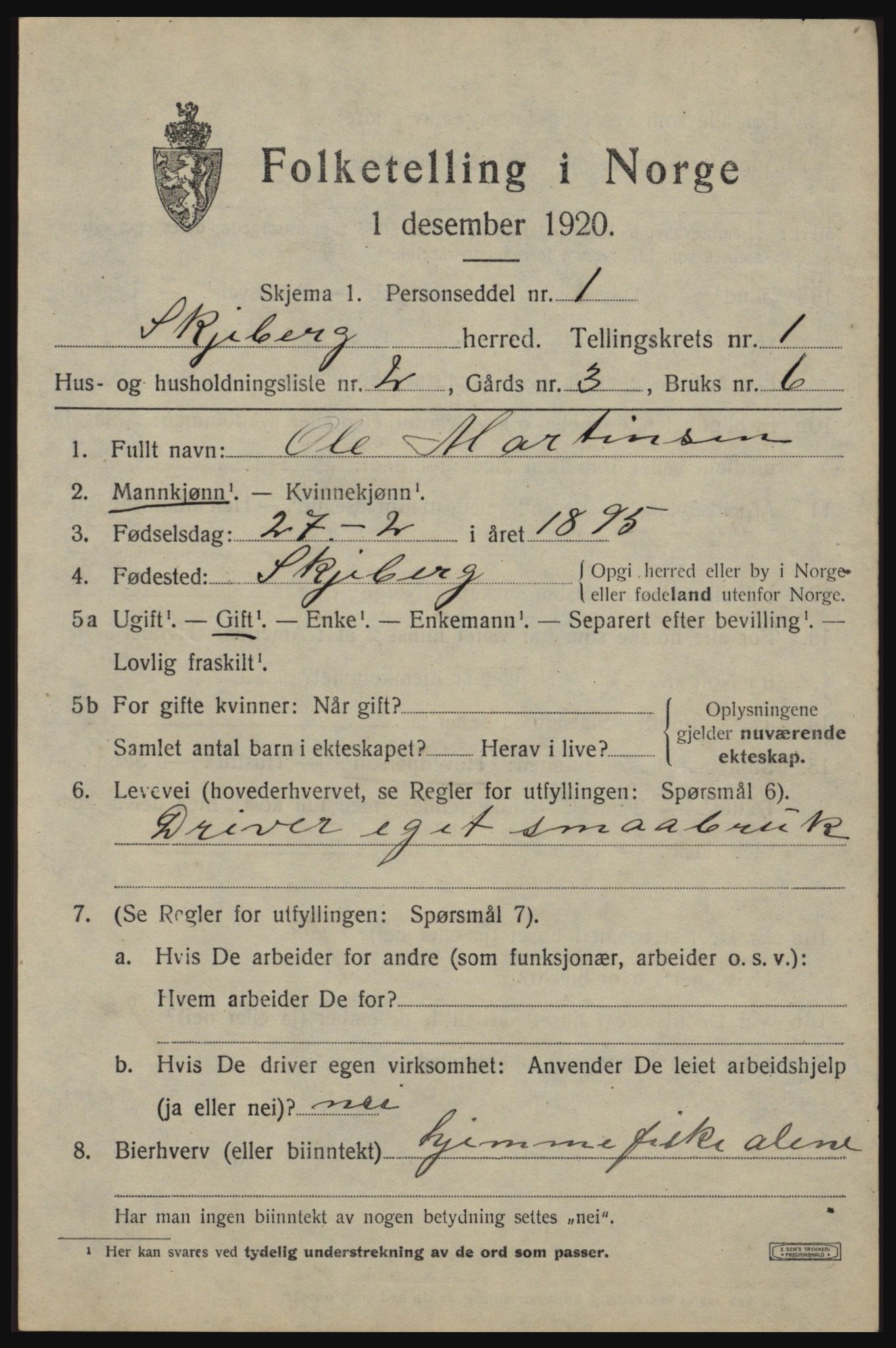 SAO, 1920 census for Skjeberg, 1920, p. 2371