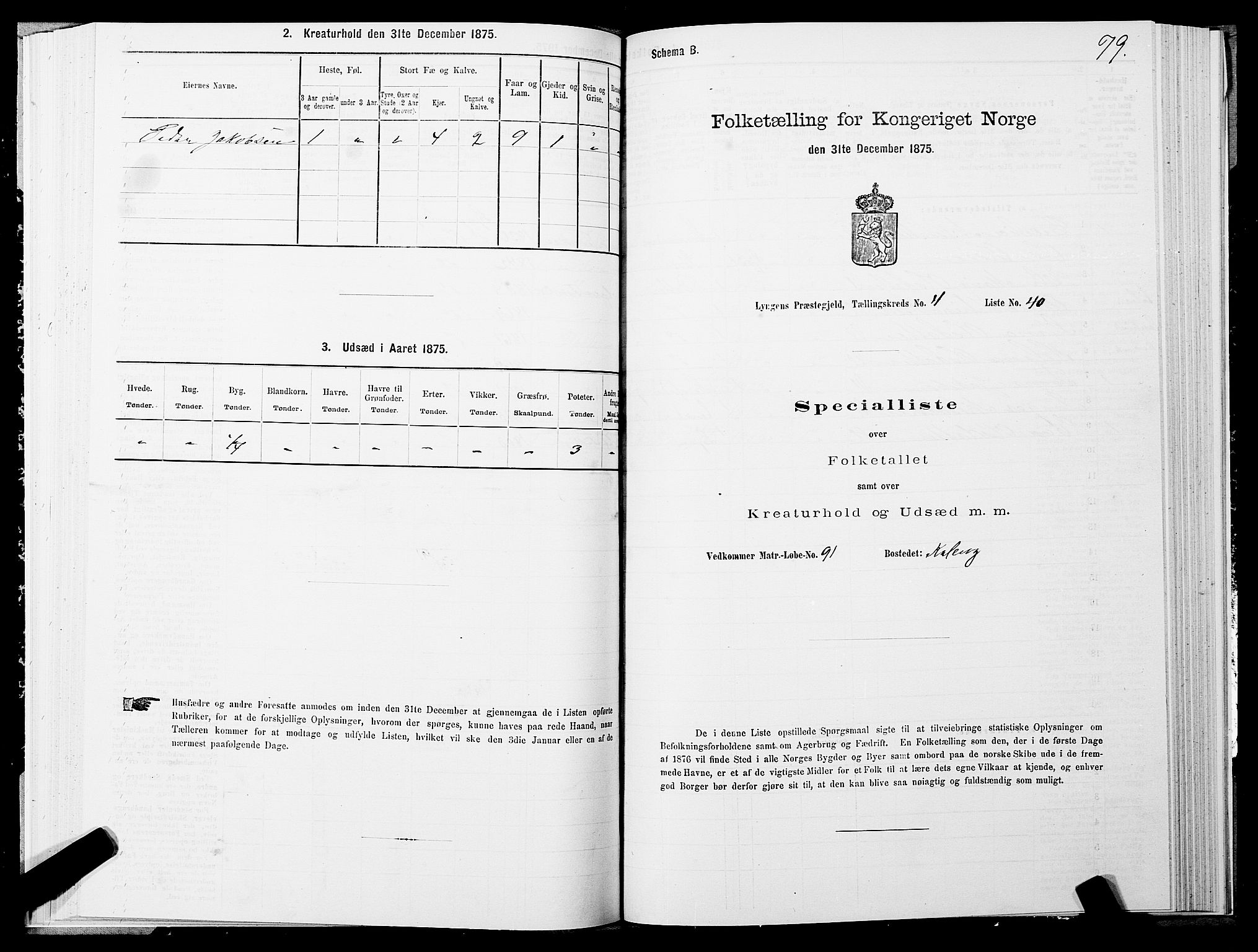 SATØ, 1875 census for 1938P Lyngen, 1875, p. 4079