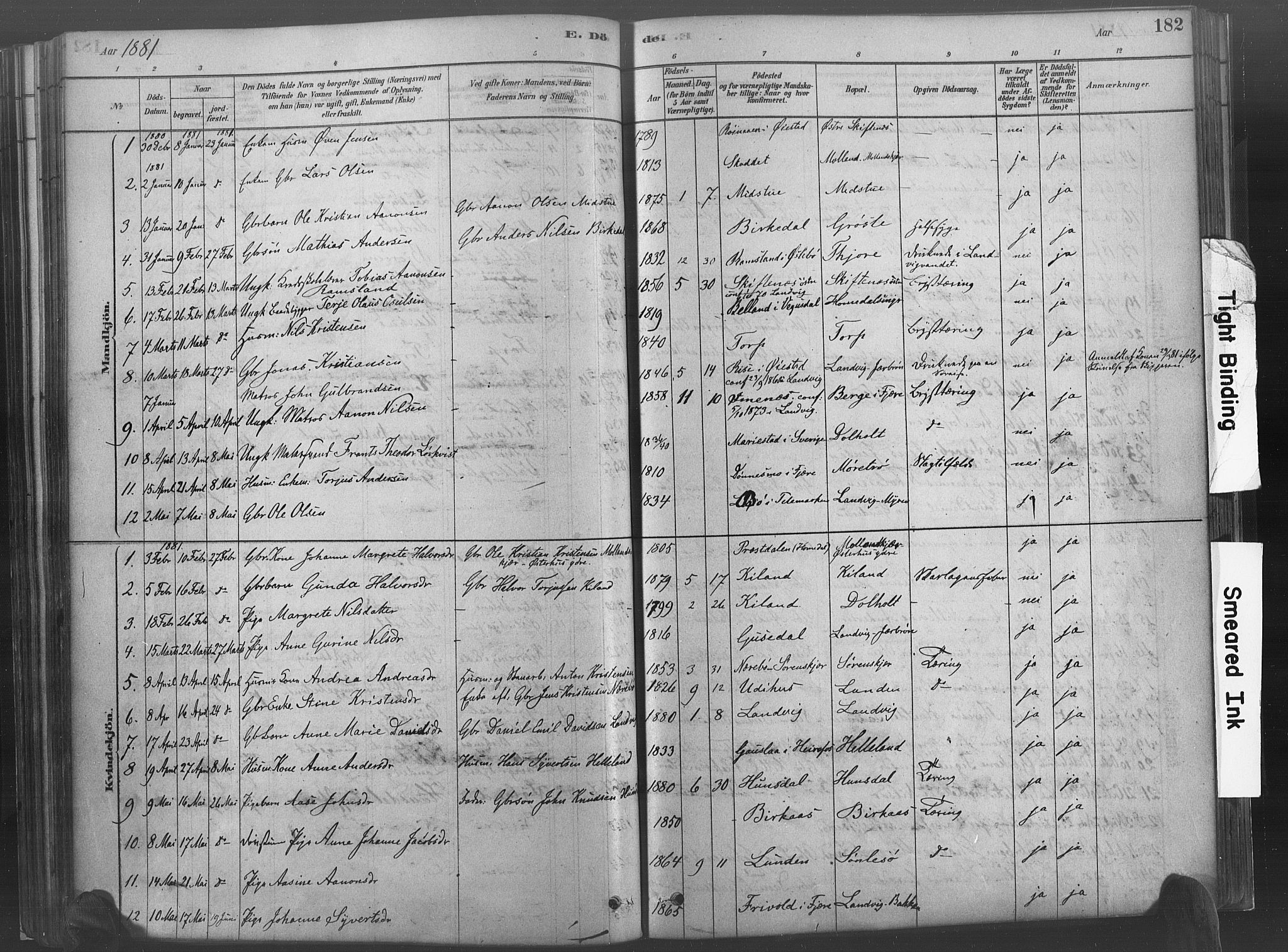 Hommedal sokneprestkontor, AV/SAK-1111-0023/F/Fa/Fab/L0006: Parish register (official) no. A 6, 1878-1897, p. 182