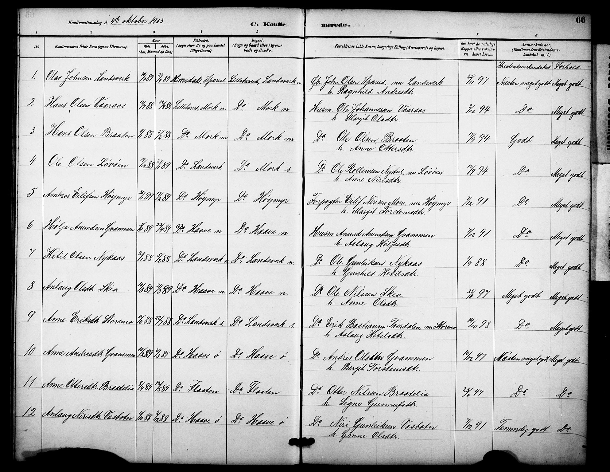 Heddal kirkebøker, SAKO/A-268/F/Fb/L0001: Parish register (official) no. II 1, 1884-1910, p. 66