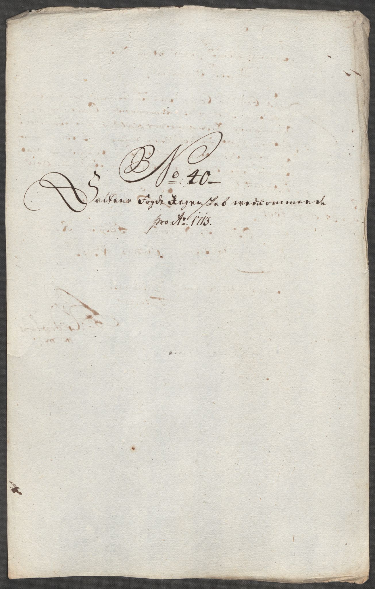 Rentekammeret inntil 1814, Reviderte regnskaper, Fogderegnskap, RA/EA-4092/R66/L4583: Fogderegnskap Salten, 1713, p. 209