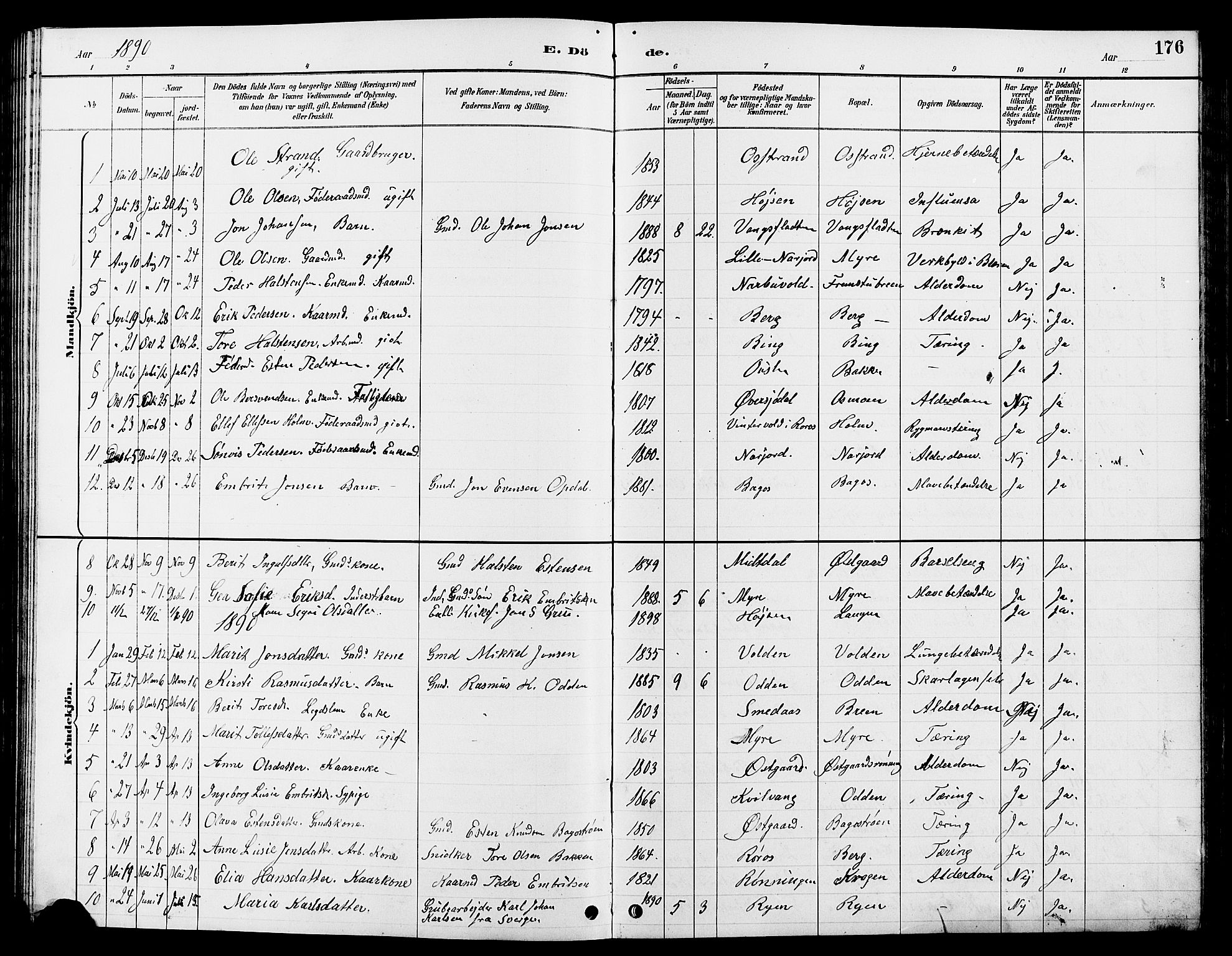 Tolga prestekontor, AV/SAH-PREST-062/L/L0008: Parish register (copy) no. 8, 1887-1912, p. 176