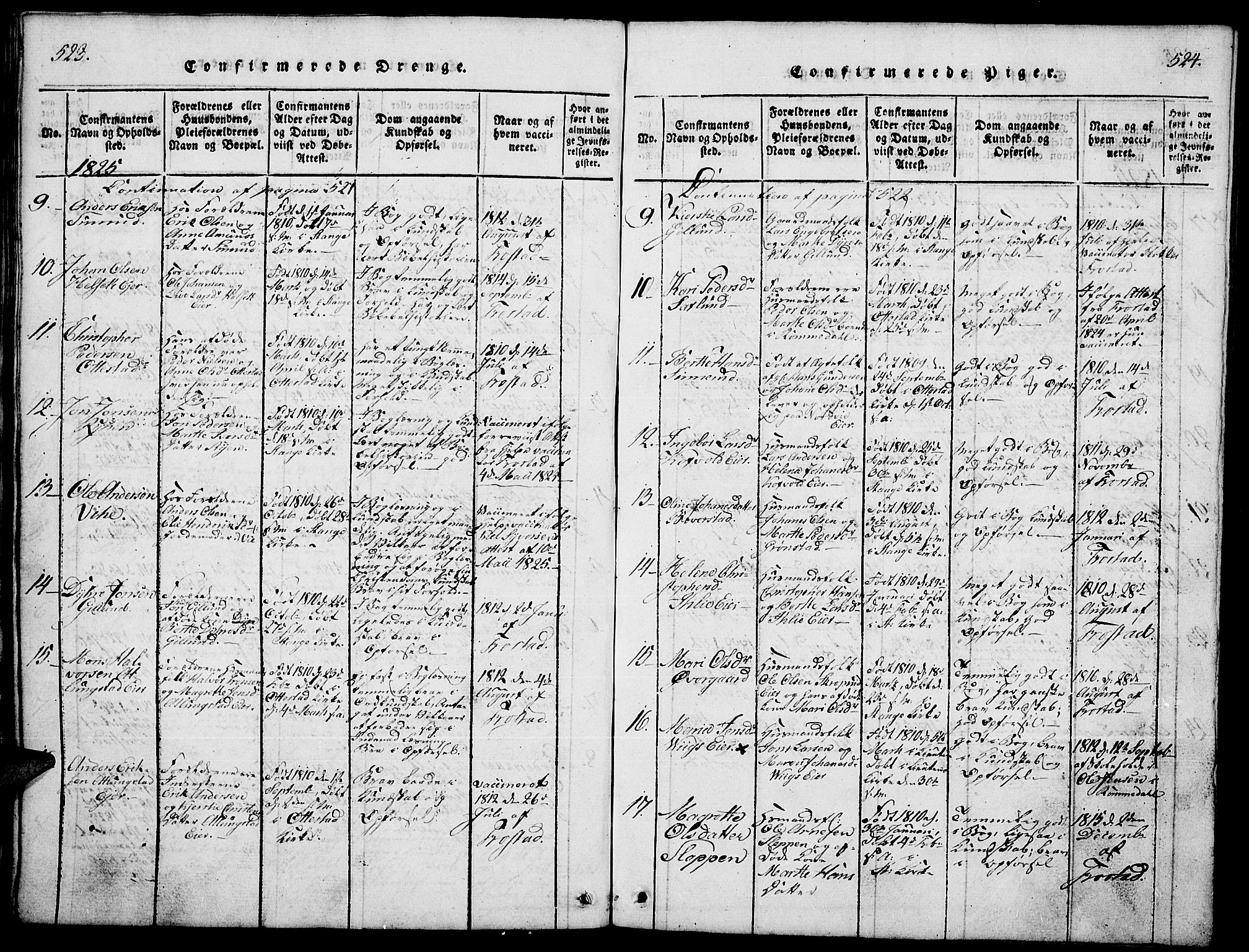 Stange prestekontor, AV/SAH-PREST-002/L/L0001: Parish register (copy) no. 1, 1814-1825, p. 523-524