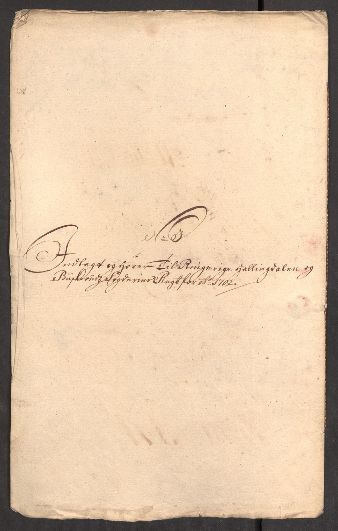 Rentekammeret inntil 1814, Reviderte regnskaper, Fogderegnskap, AV/RA-EA-4092/R22/L1459: Fogderegnskap Ringerike, Hallingdal og Buskerud, 1702, p. 176