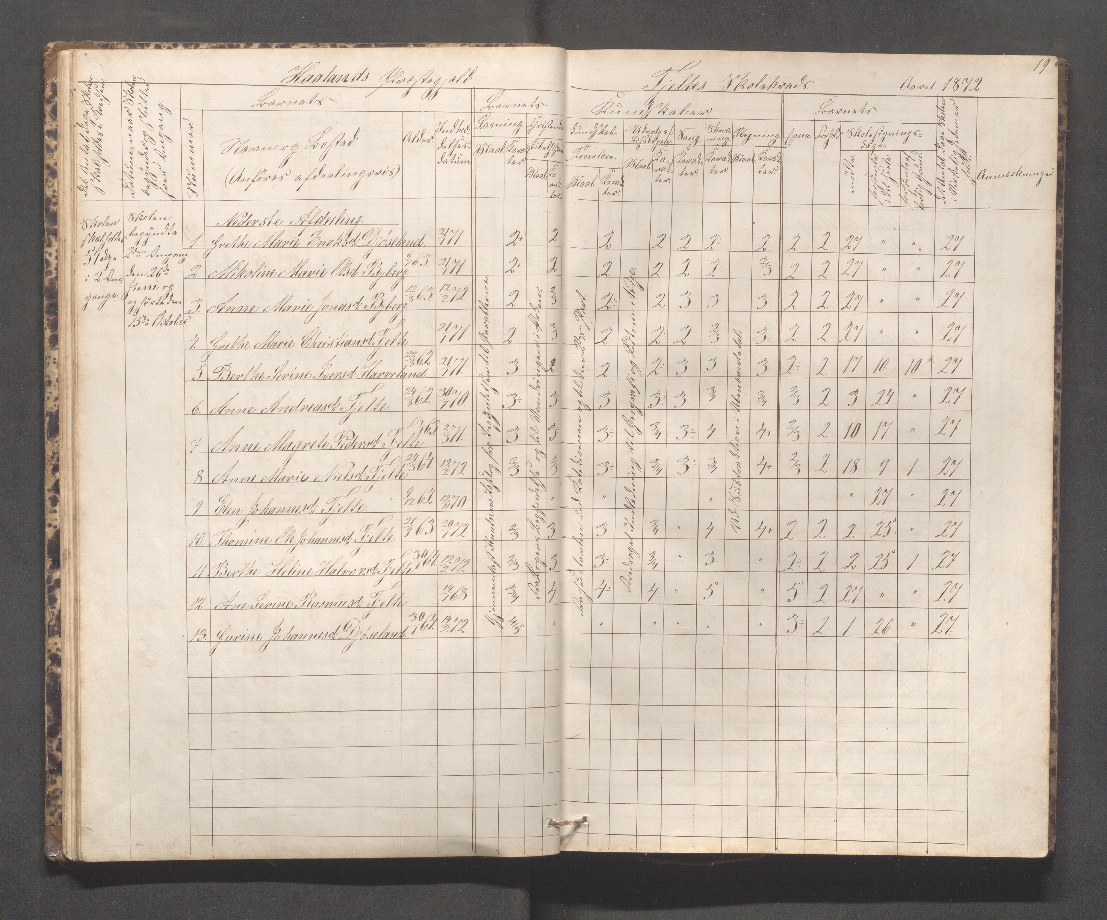 Håland kommune - Håland skole, IKAR/K-102441/H, 1866-1879, p. 18b-19a