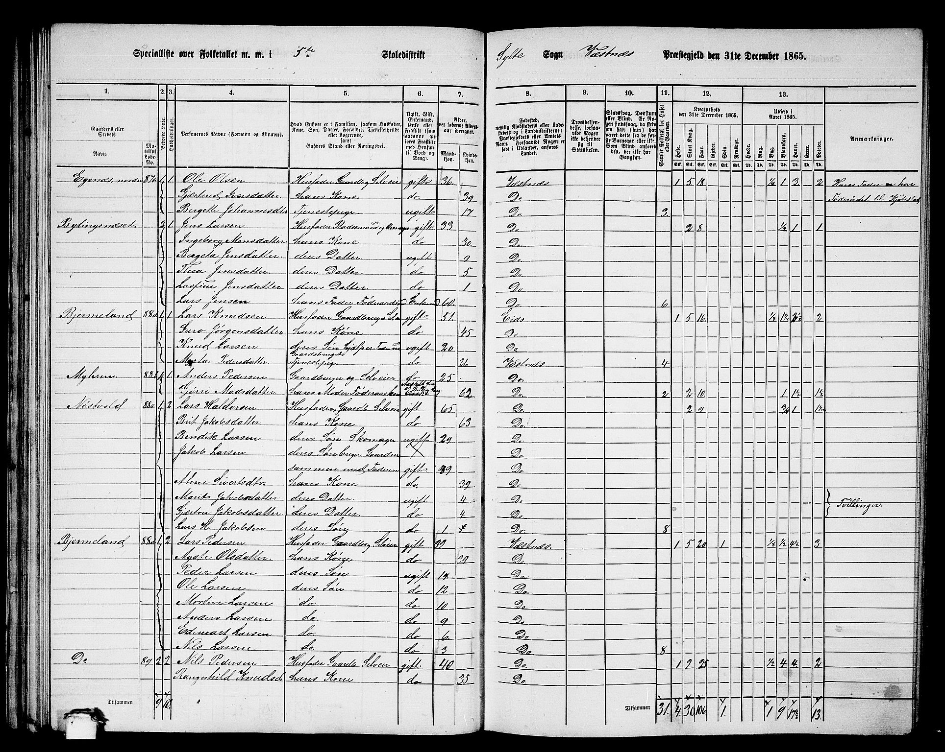 RA, 1865 census for Vestnes, 1865, p. 64